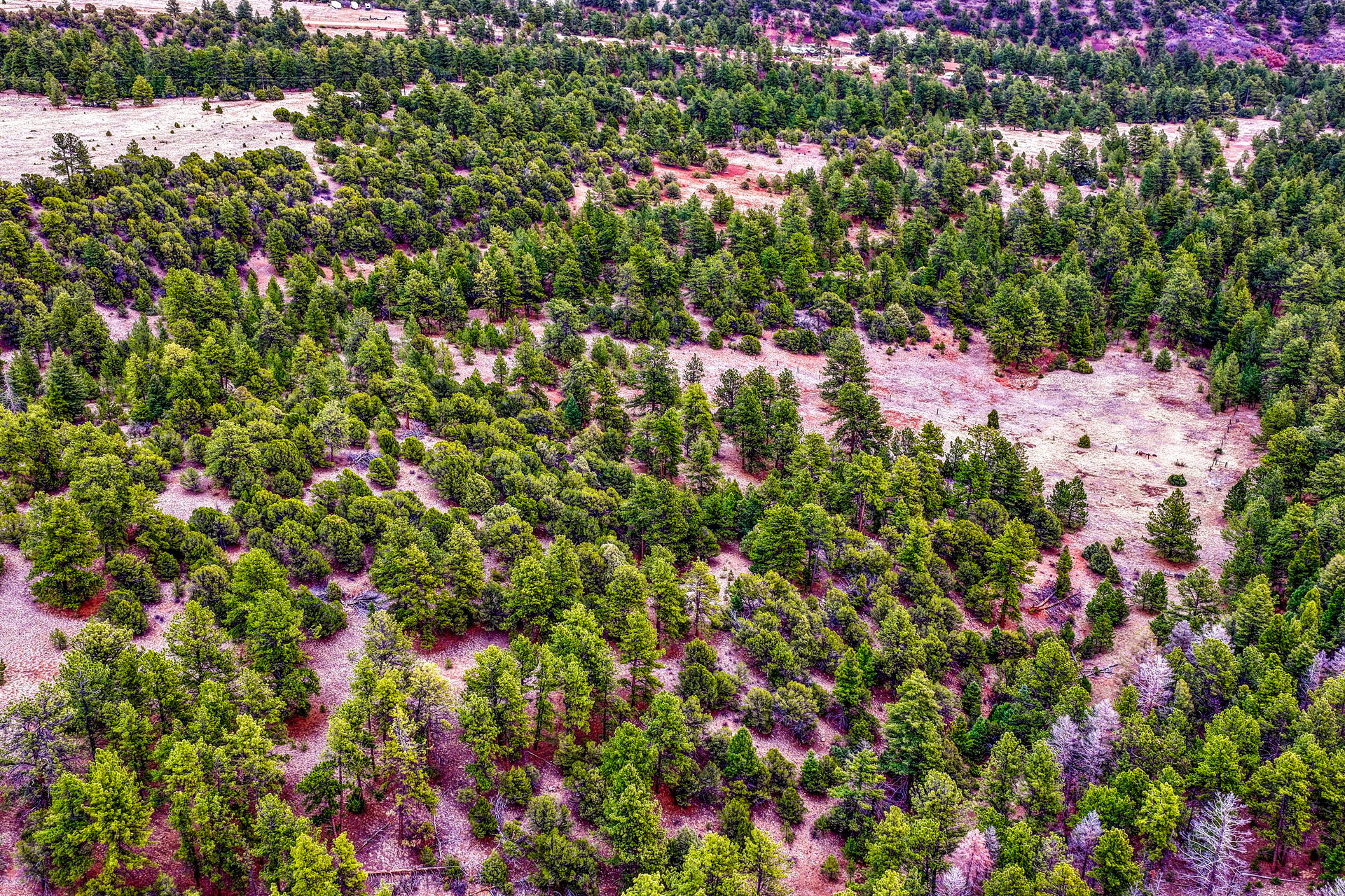 10475 County Road 12