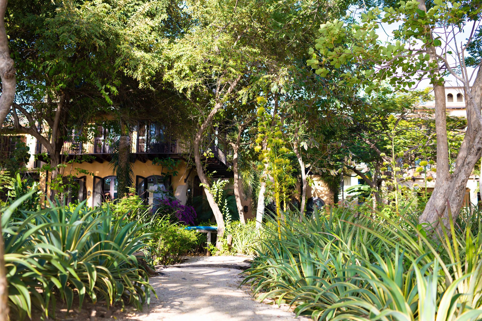 El Prado Lot #13 | El Prado Homesite Near Playa Danta