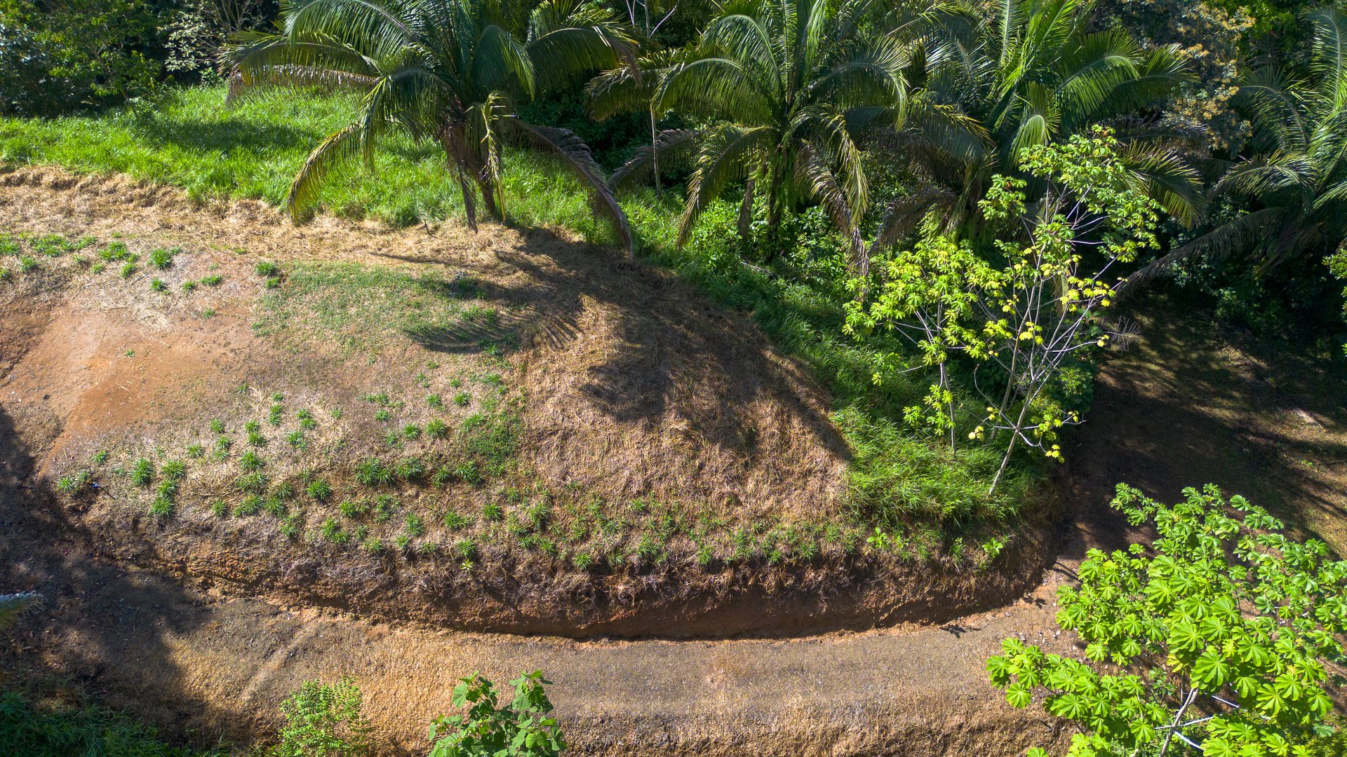 Surfers Paradise! Two Usable Lots for Building in Playa Hermosa Near Uvita!!
