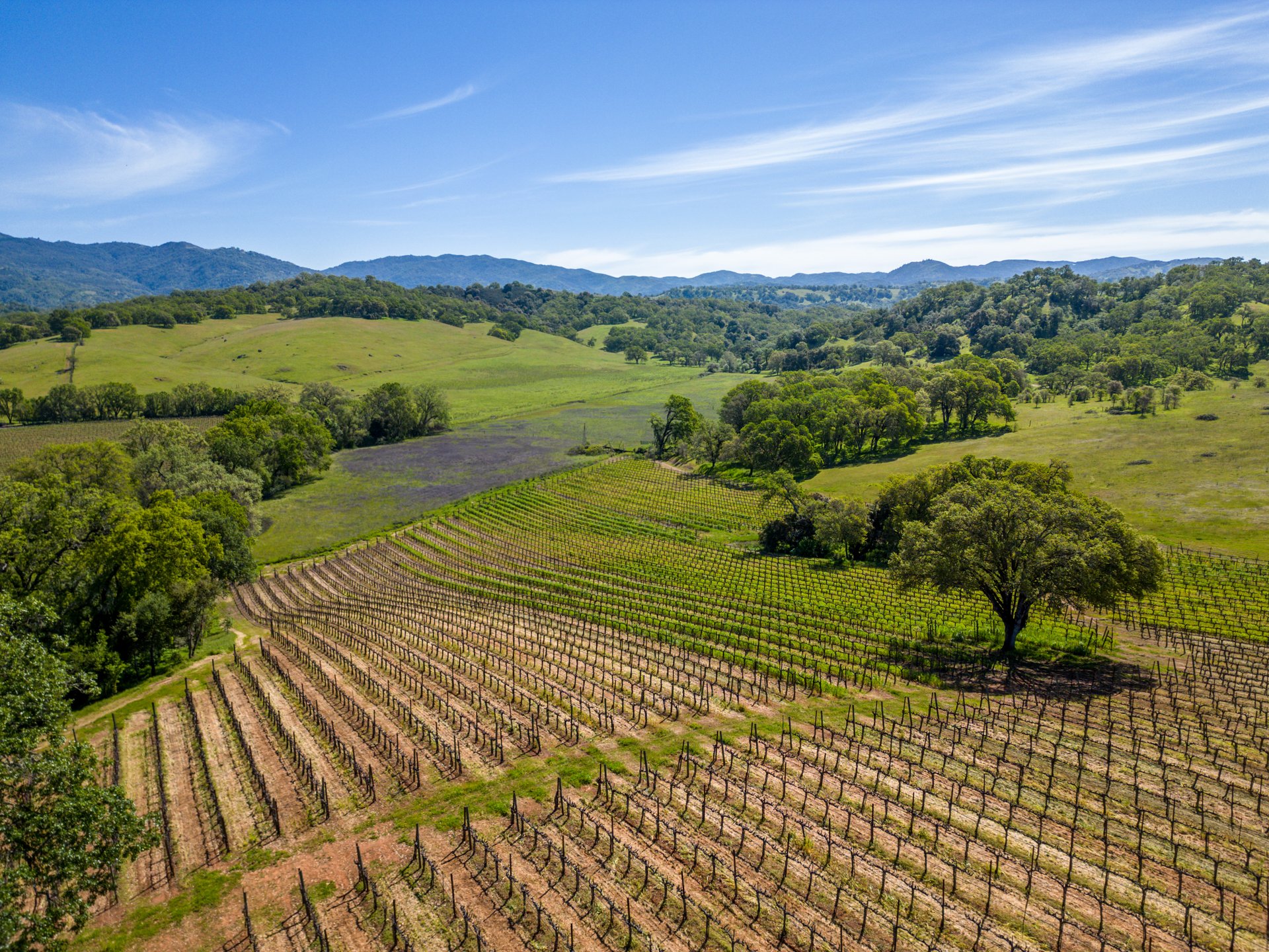 The Hopland Hills Ranch