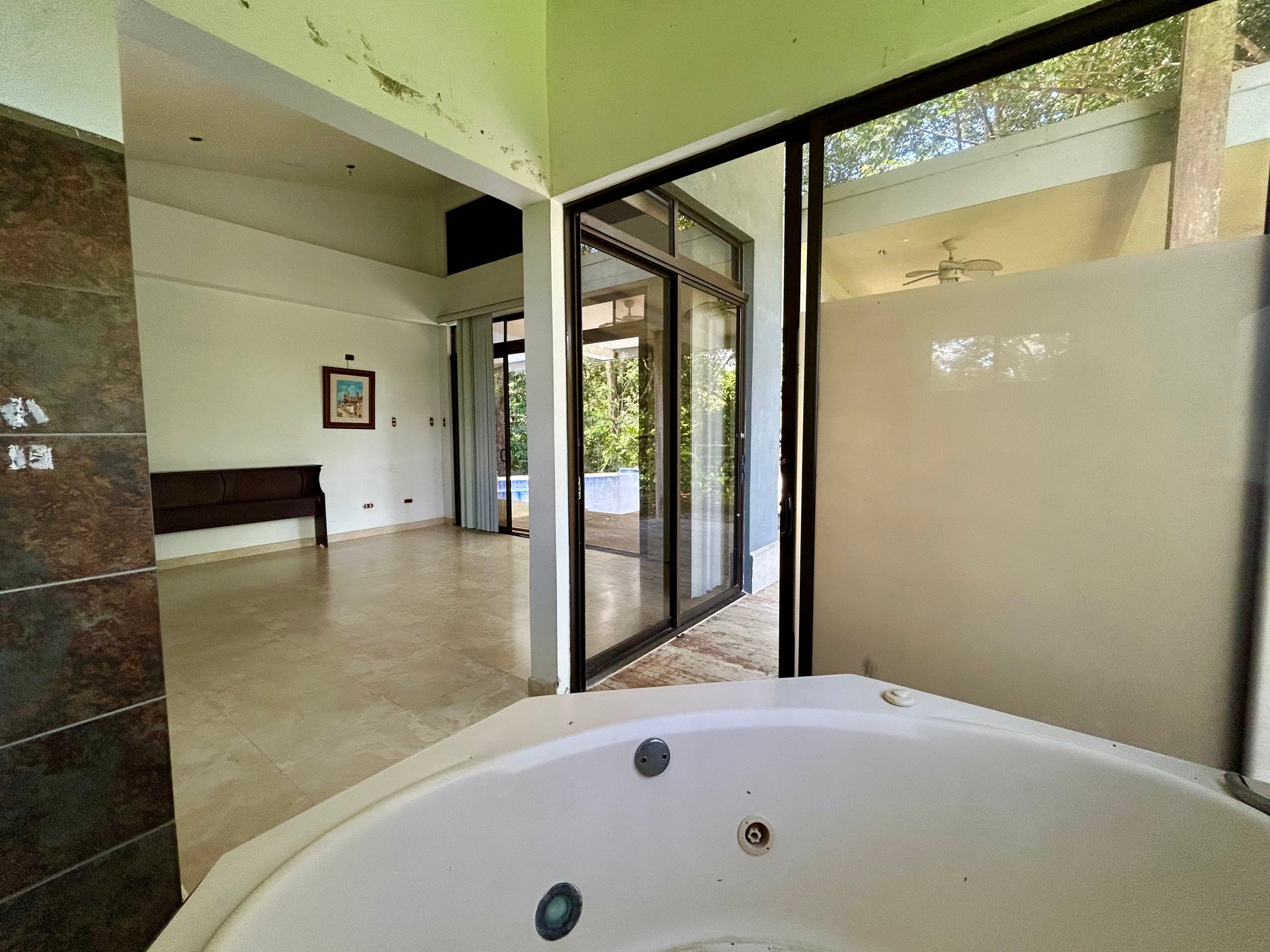 Fixer-Upper Home with an studio Office in Palmar Norte on a 7.58 Acres Property