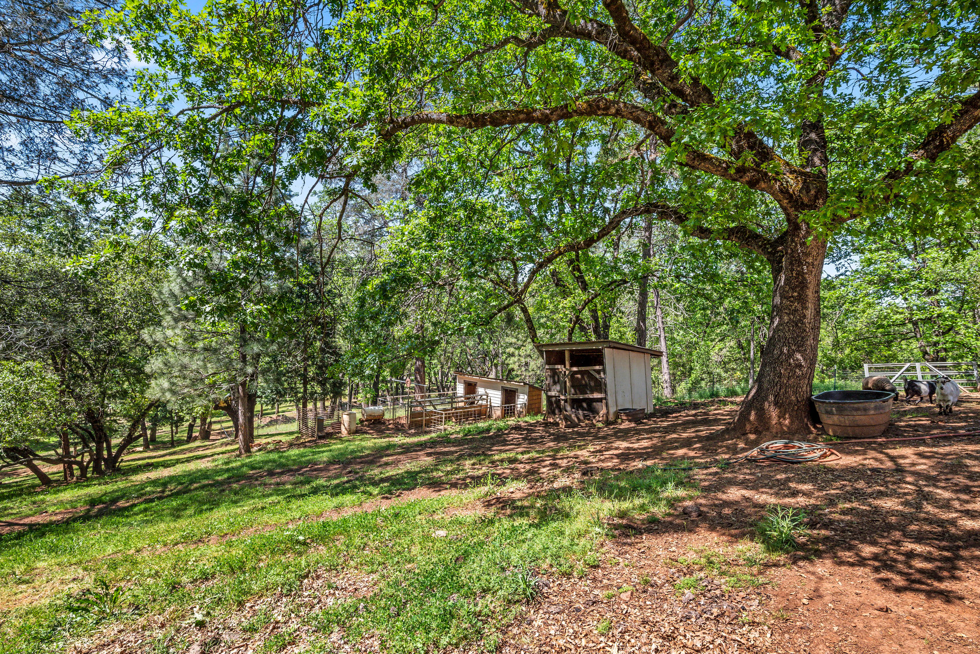 2405 No Walk Rd, Placerville