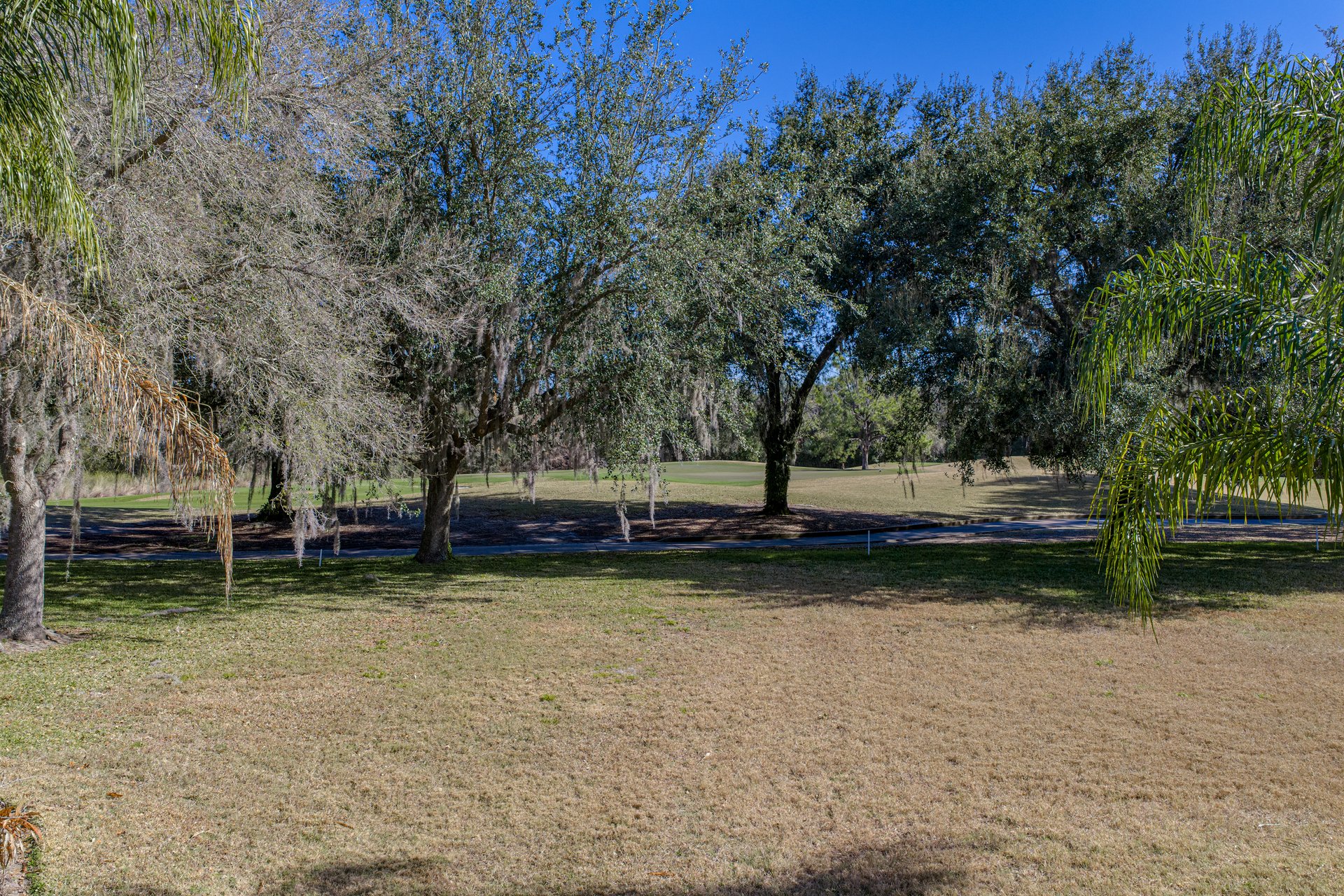 12852 GRAND TRAVERSE DR