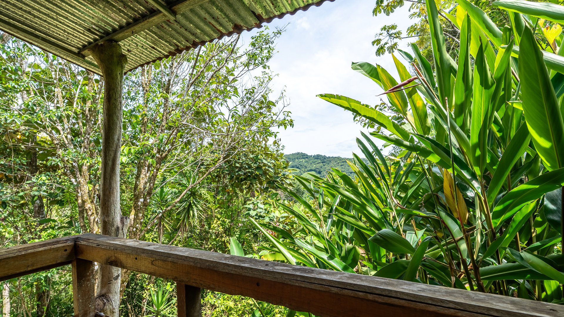 Mountain Home with Guest Cabin & Additional Building Site Near Nauyaca Waterfalls