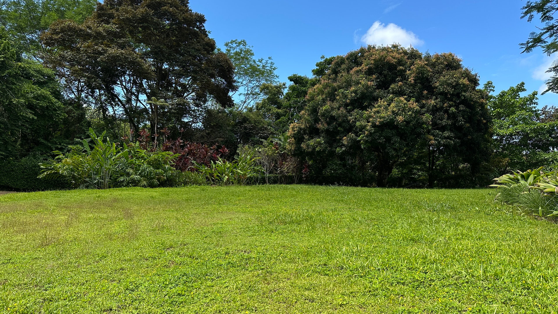 Build-Ready Ocean View Land with Guest House & Fruit Orchard | Tres Rios, Costa Rica