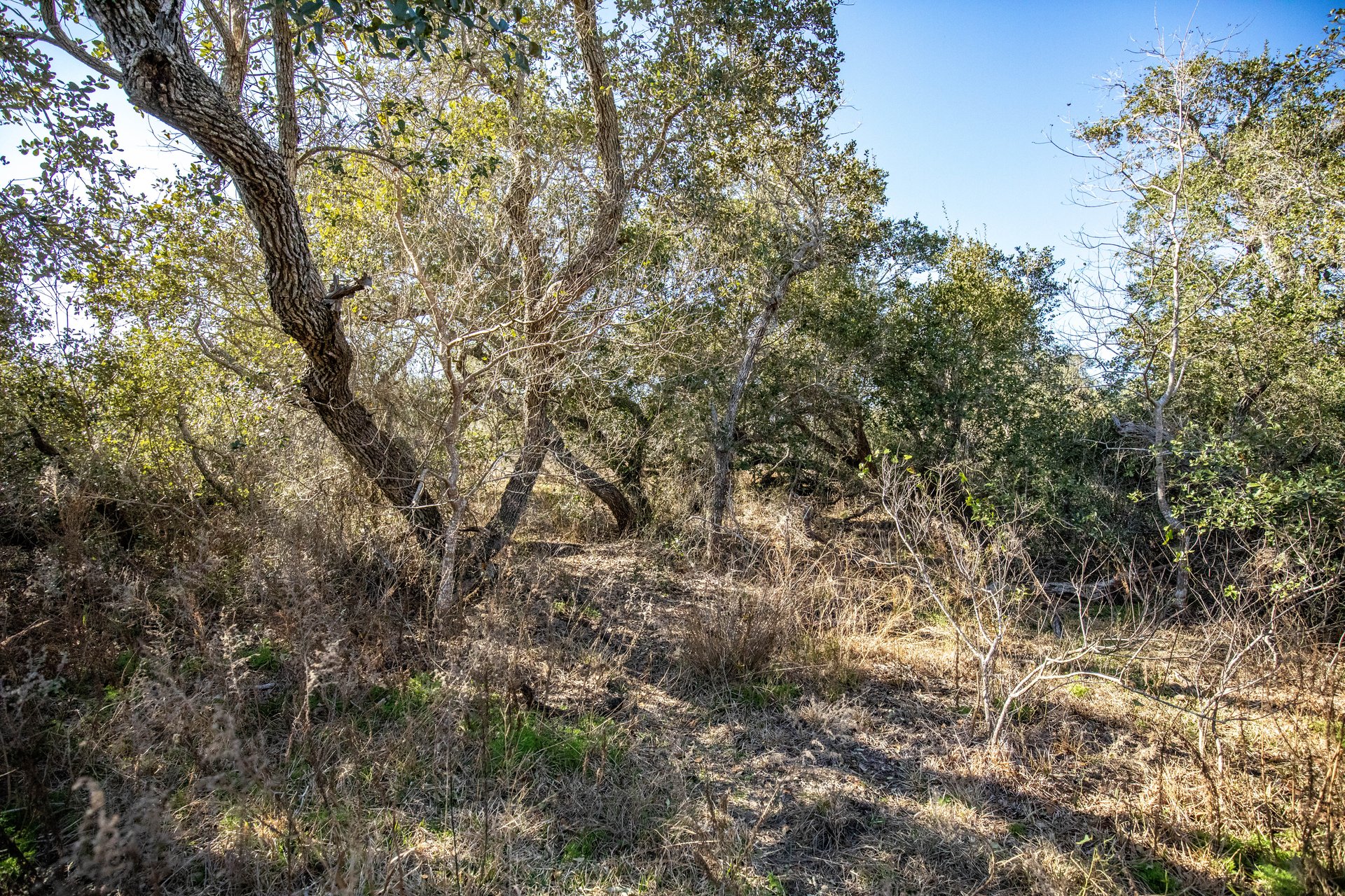 Lamar Peninsula Development Tract |  51.81± Acres | Aransas County