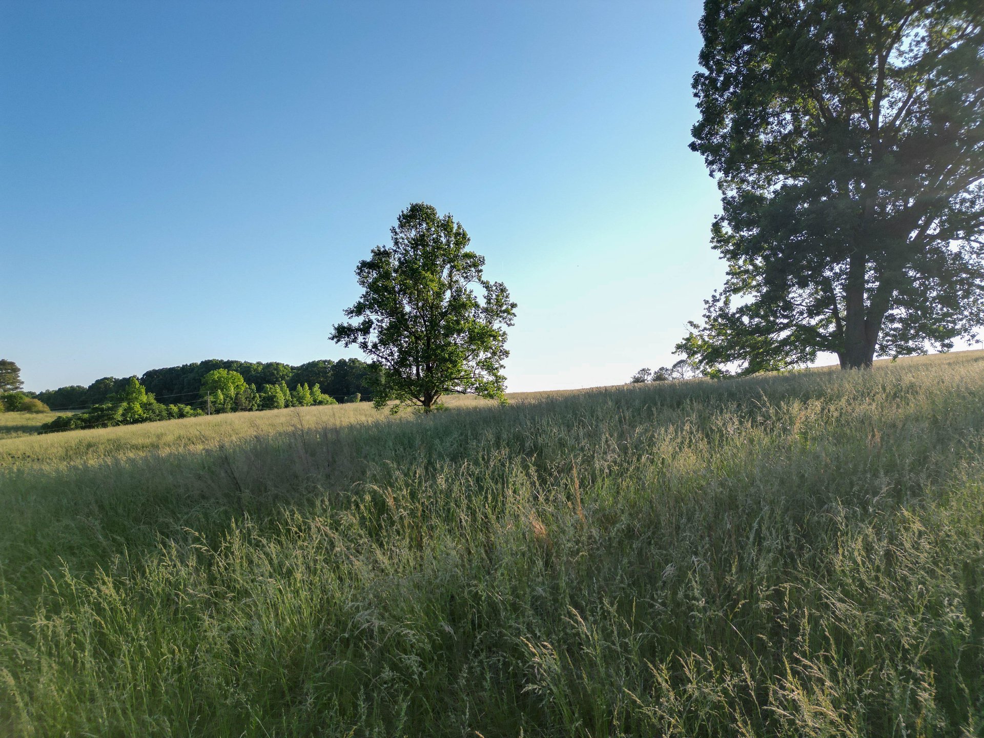 The Ranches at Sandy Creek