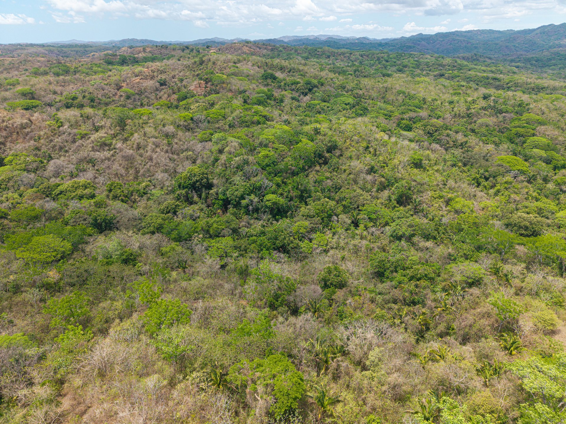 San Juanillo Farm | Large-Scale Ocean View Land with Investment Potential