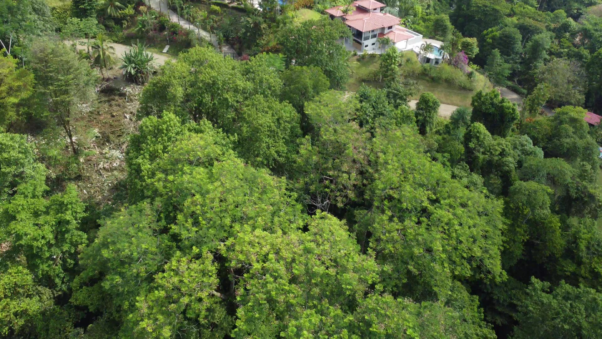 Ojochal - 1 Acre Ready To Build Jungle Lot, Ocean Breezes in Wildlife Corridore