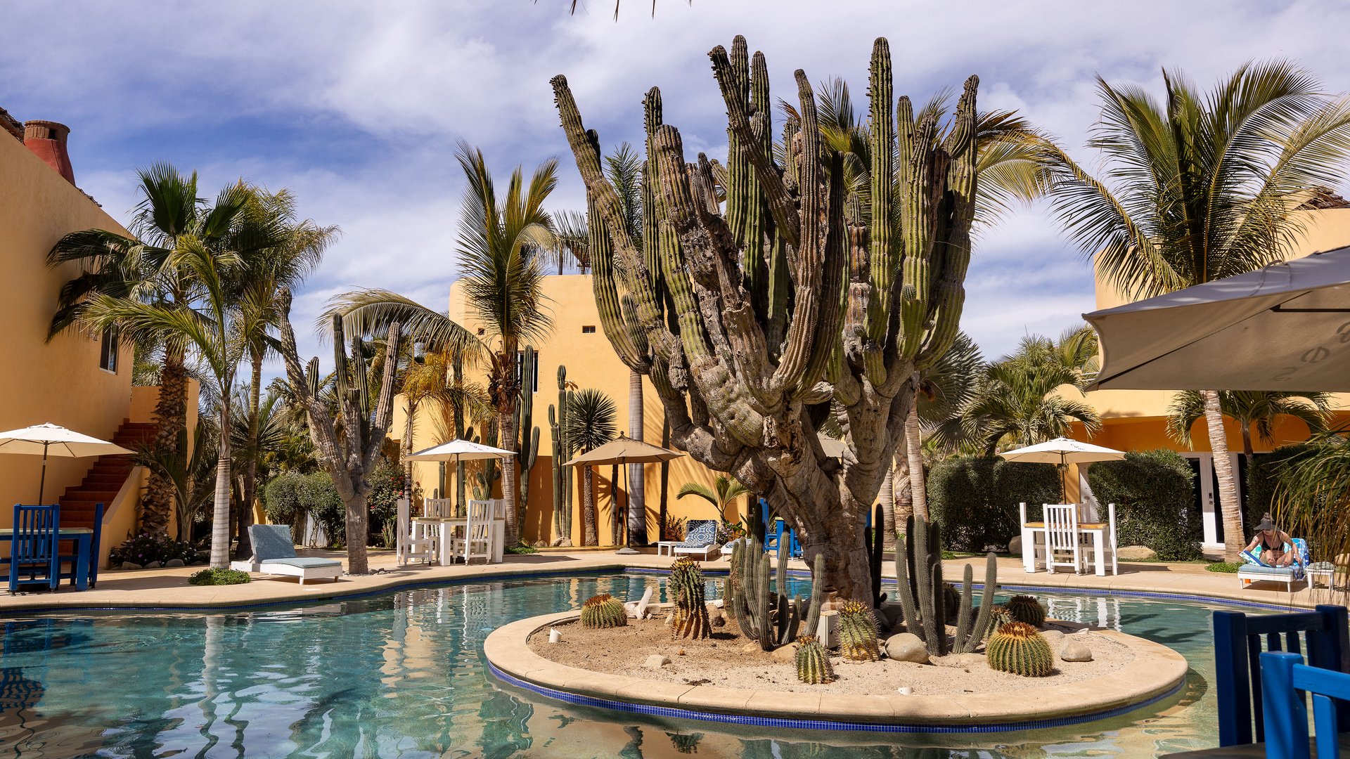 Puesta Del Sol Studio 1B