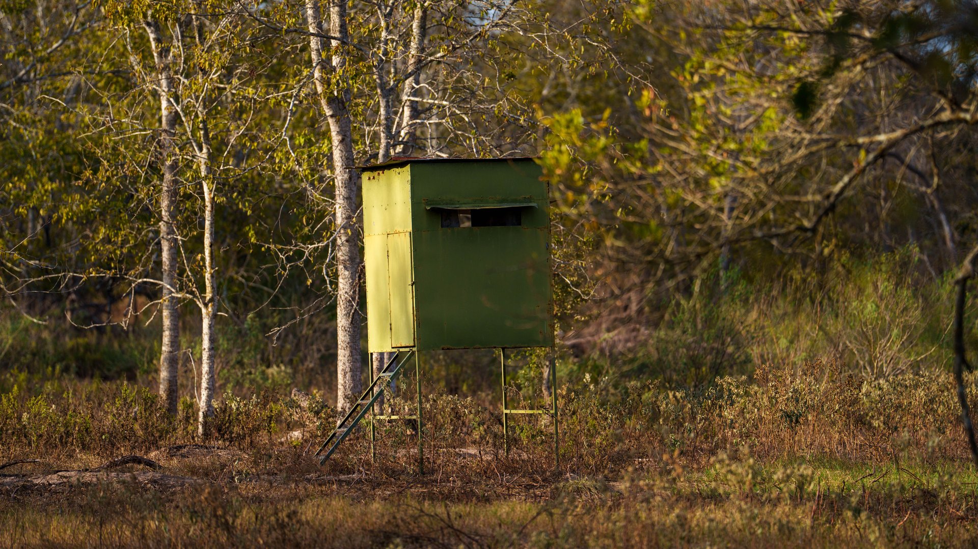 Gonzales County | 104+/- Acres