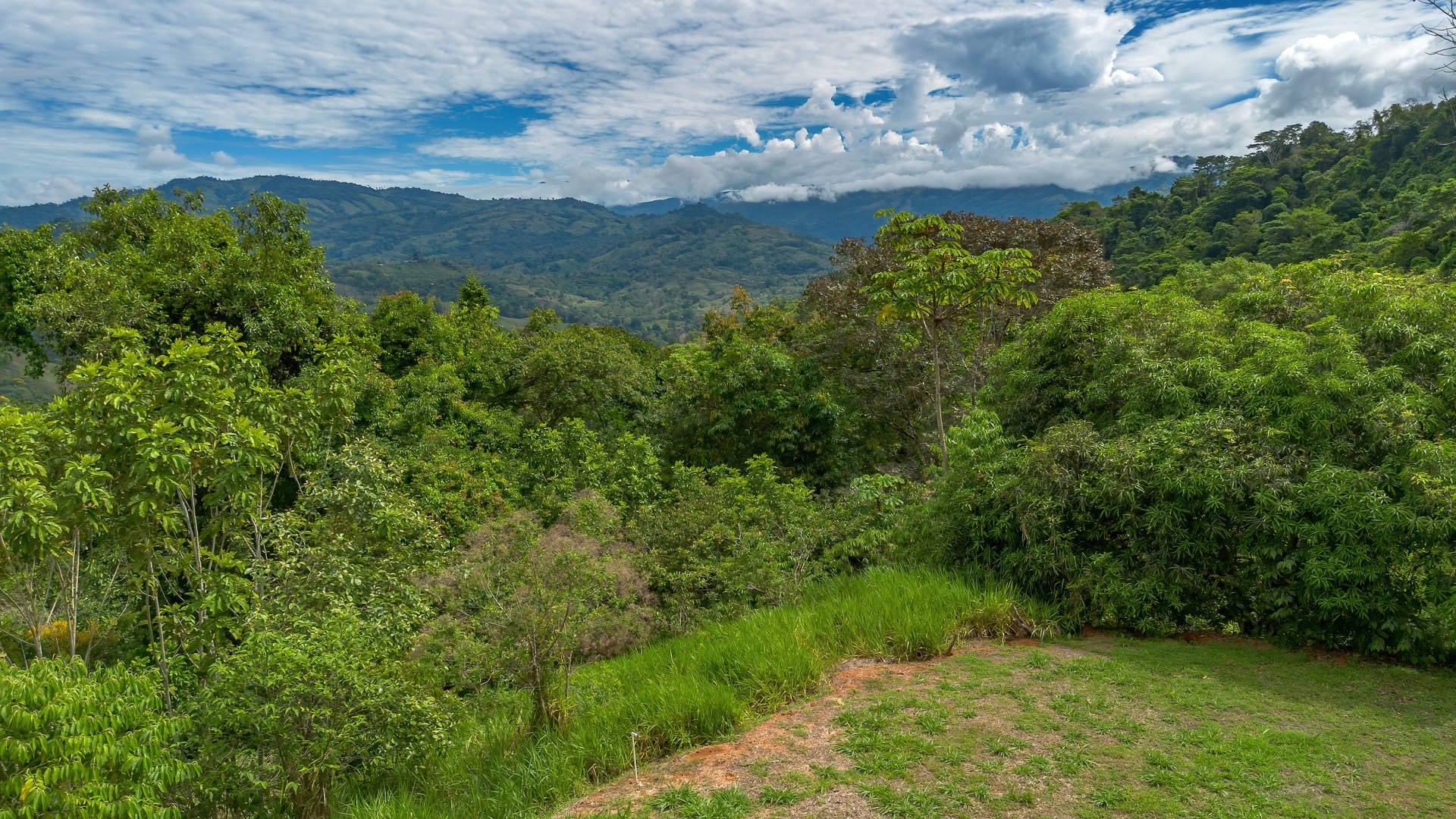 60+ Hectares in Platanillo | Own Your Own Mountain in Costa Rica