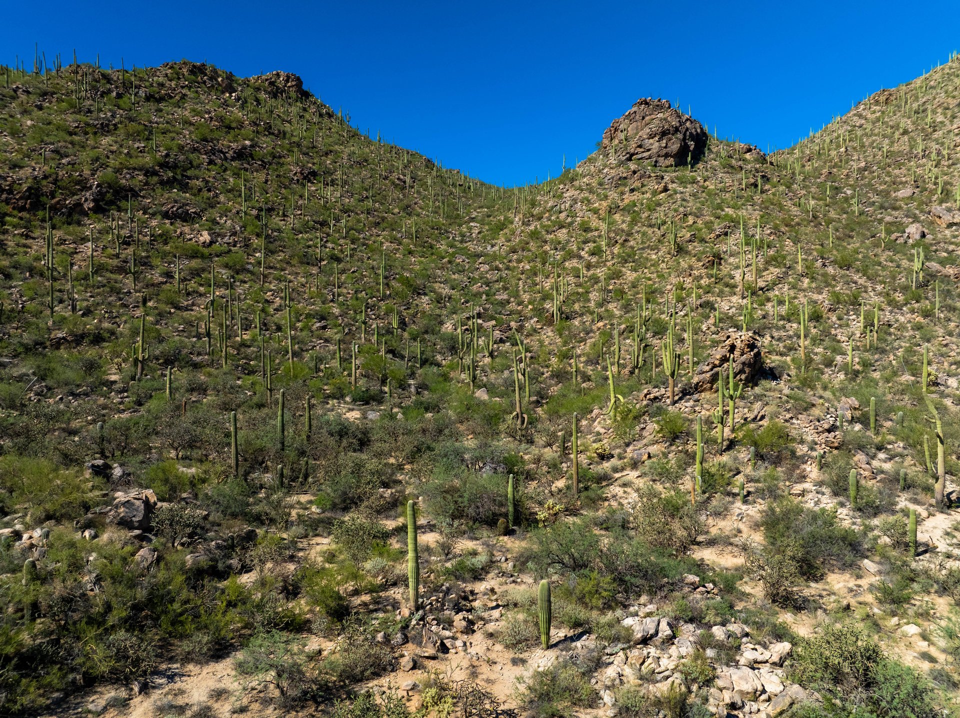 Hacienda - Lot #2 - 14474 N. Old Ranch House Road