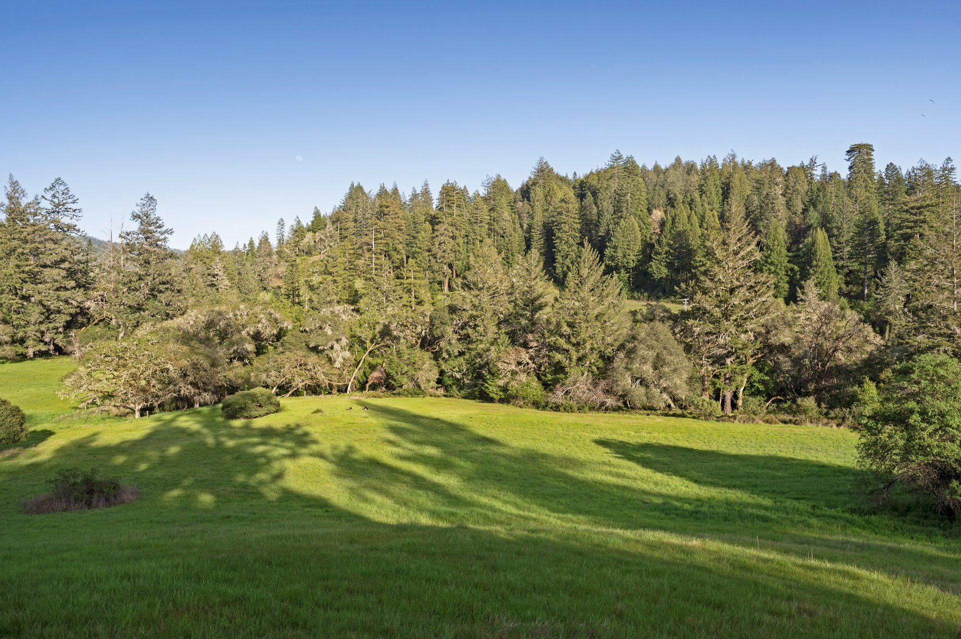 The Land