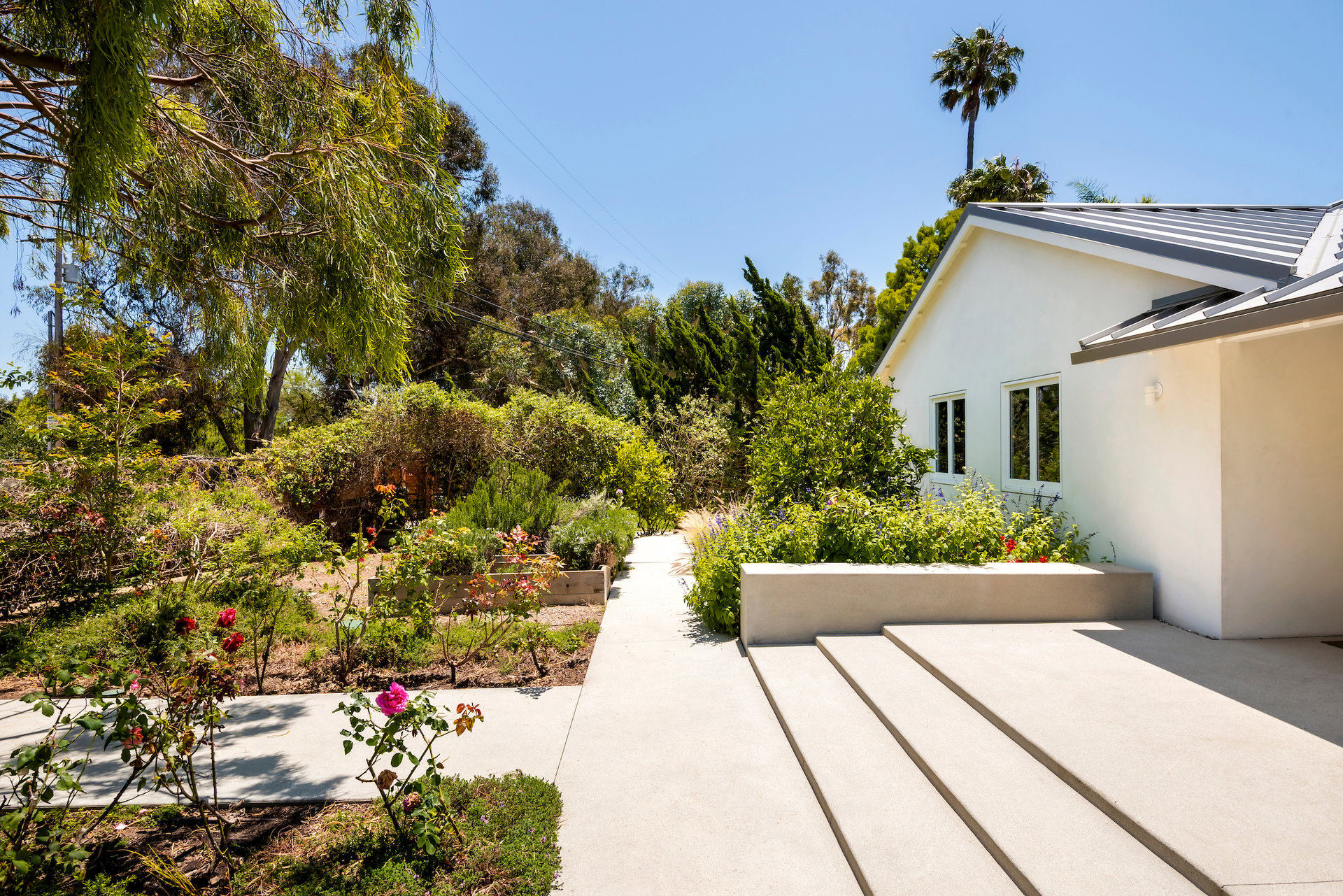 Modern white home beside a landscaped garden, with a broad concrete walkway and stepped patio.