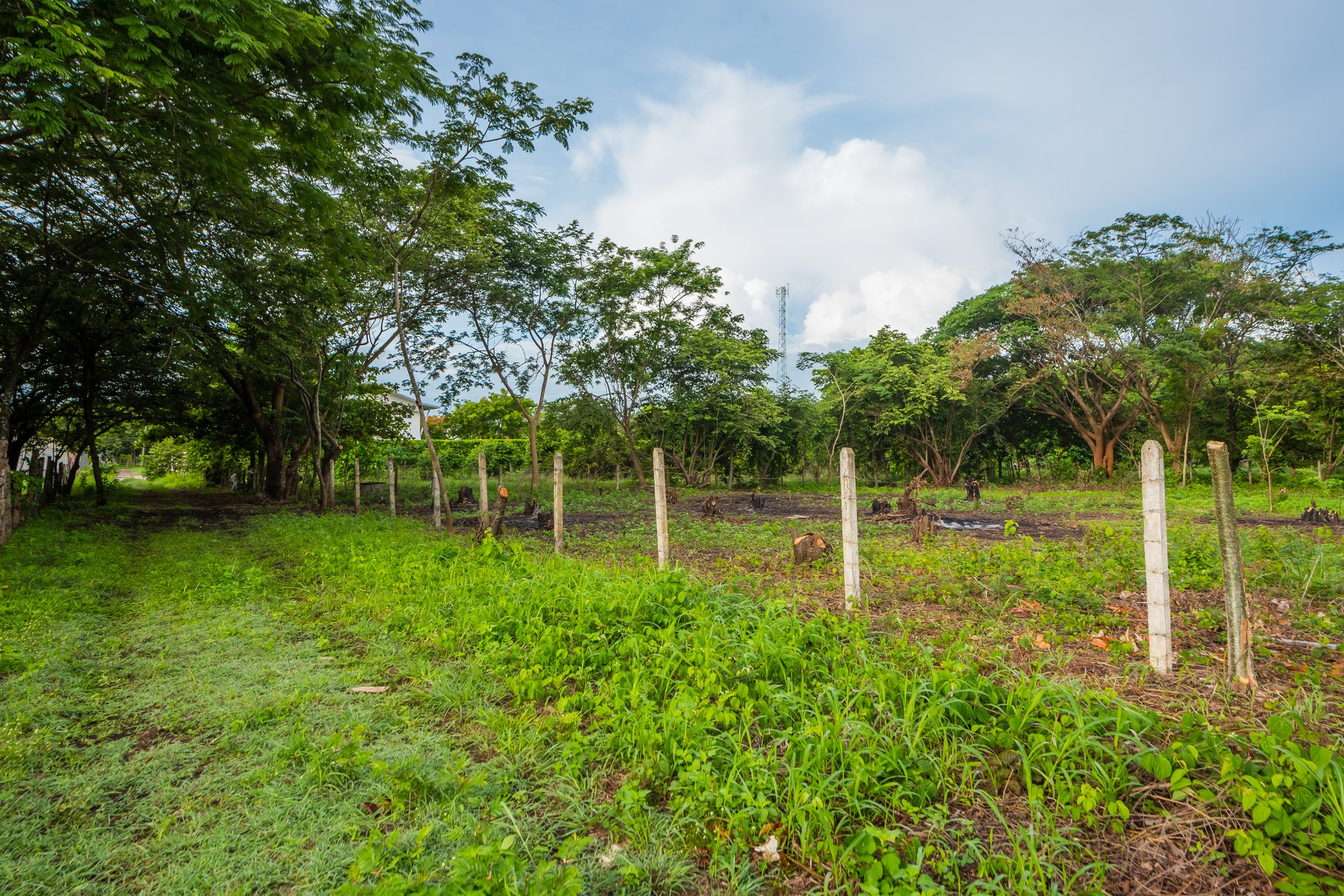 La Garita de Tamarindo Lot | 1.3-Acre Home Site Near Top Beaches, Private, Scenic, and Well-Located