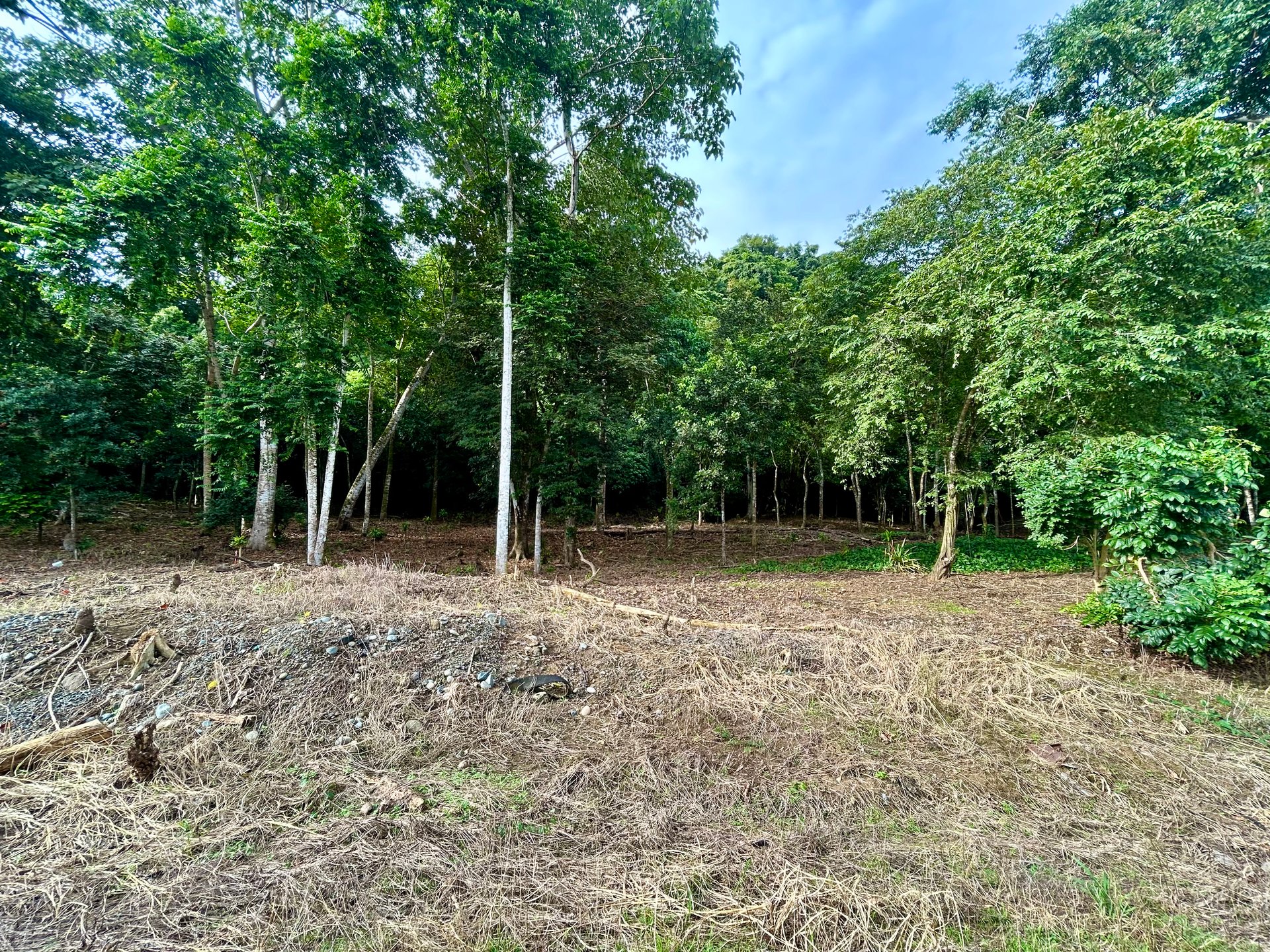 Tawal Lots for Sale – Prime Commercial & Residential Opportunity