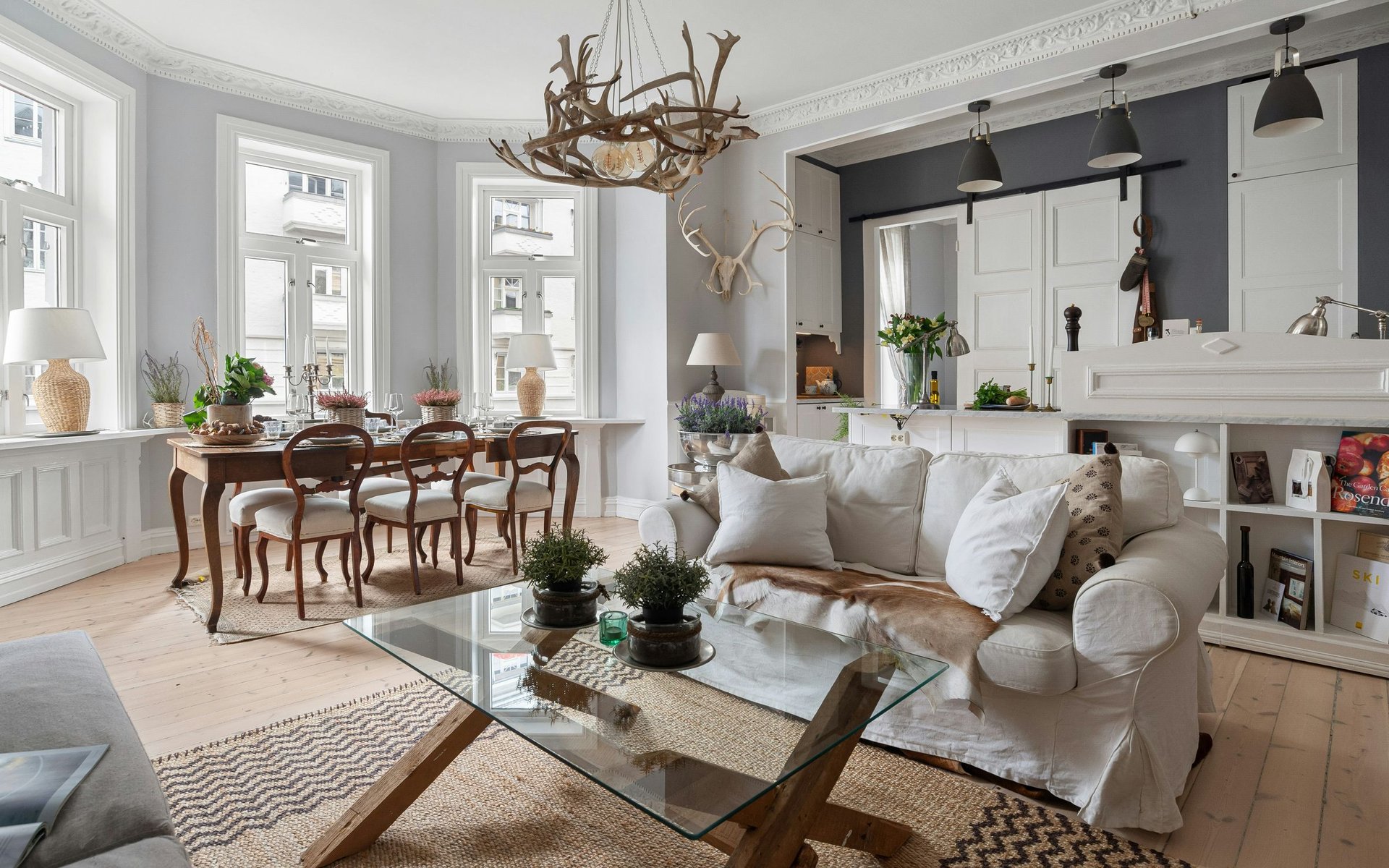 Contact Alexandra | Boston Area Buying and Selling Support