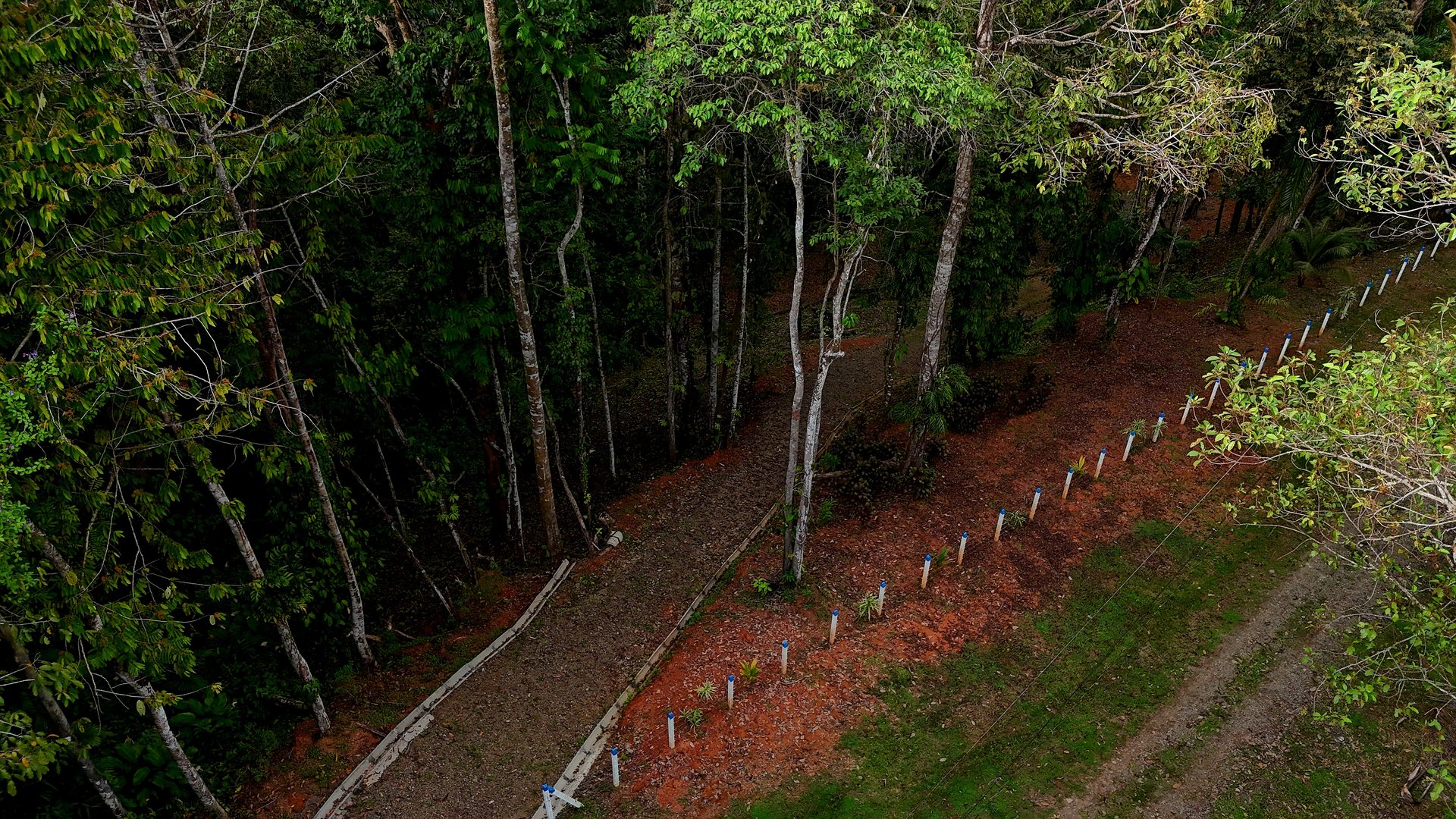  3.75-Acre Jungle Lot with Creek in Ventanas de Osa, Puntarenas