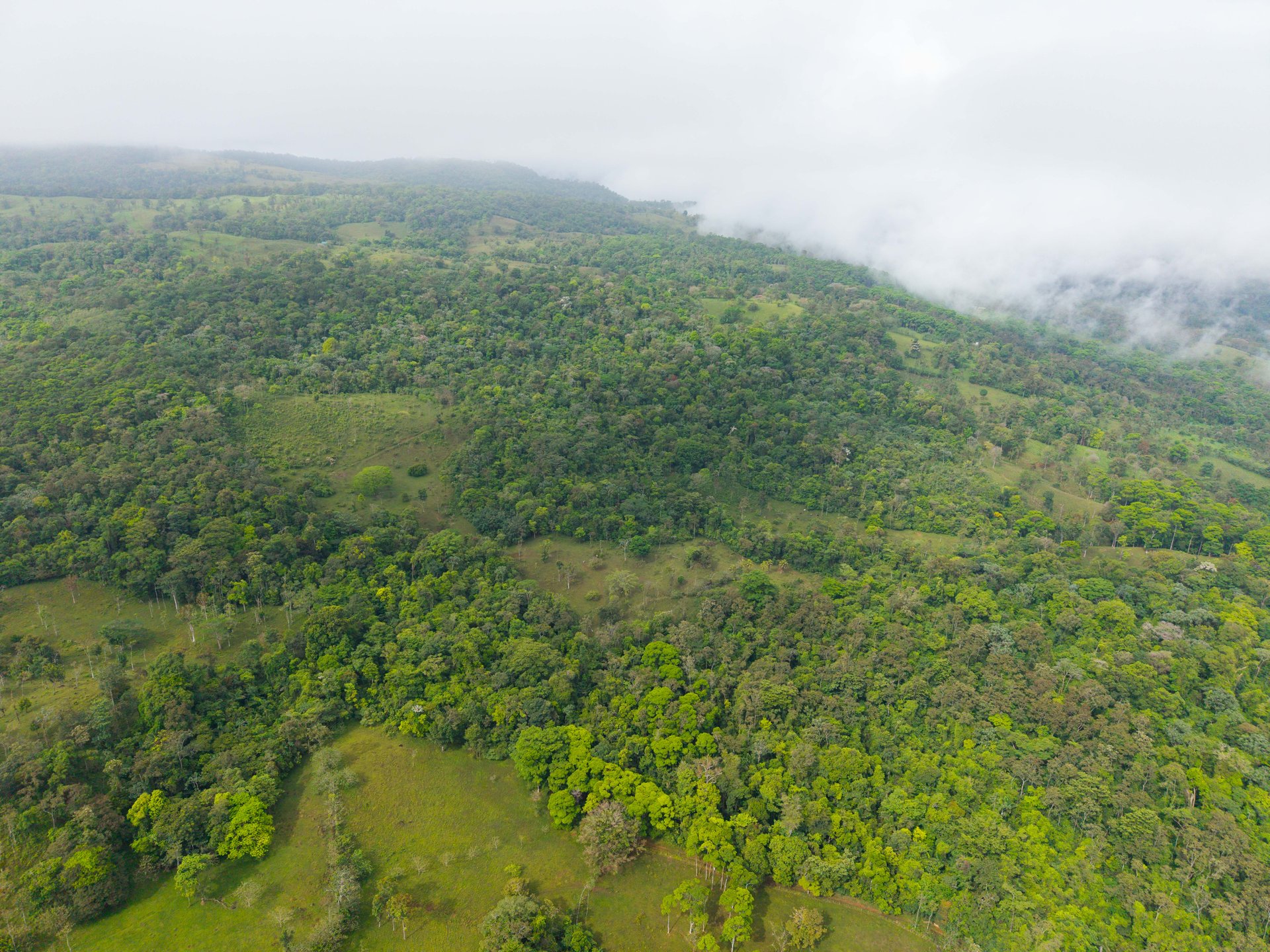 Finca Las Zompopas-Río Celeste | 113-Acre Biodiverse Property in Bijagua, Ideal for Eco-Tourism, Private Retreats, or Sustainable Development