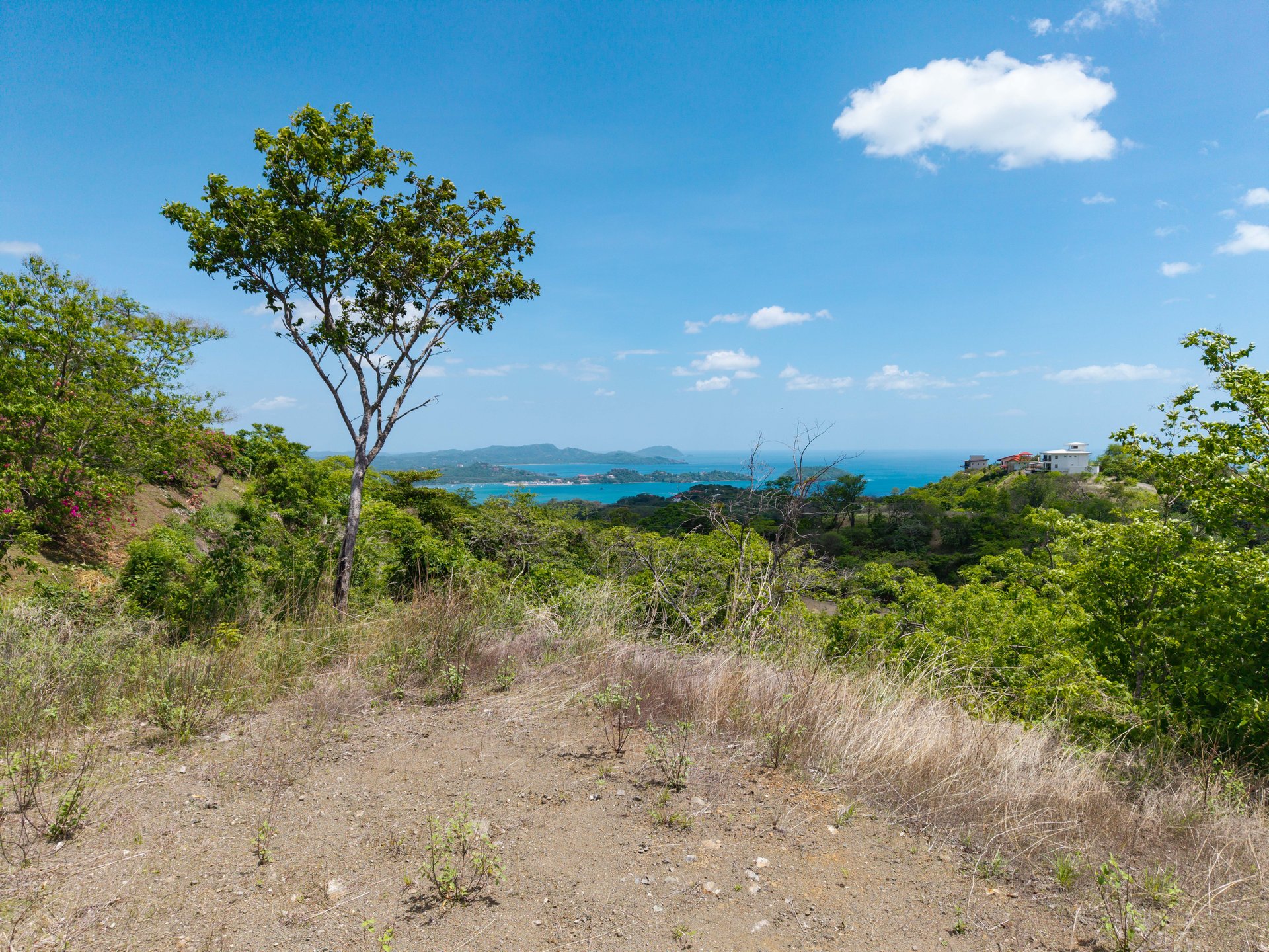 Miramar Ocean View Lot | Unmatched Views from this Spectacular Piece of Land in Pacific Heights