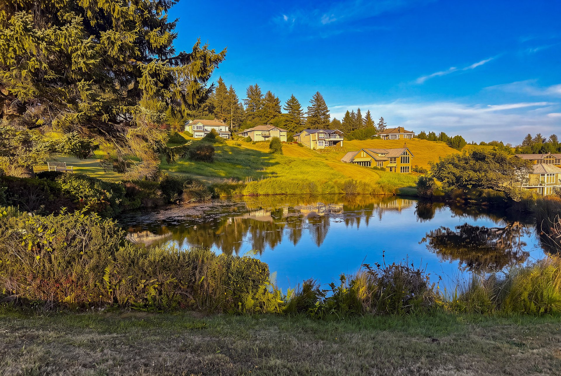 38410 MEADOW LOOP