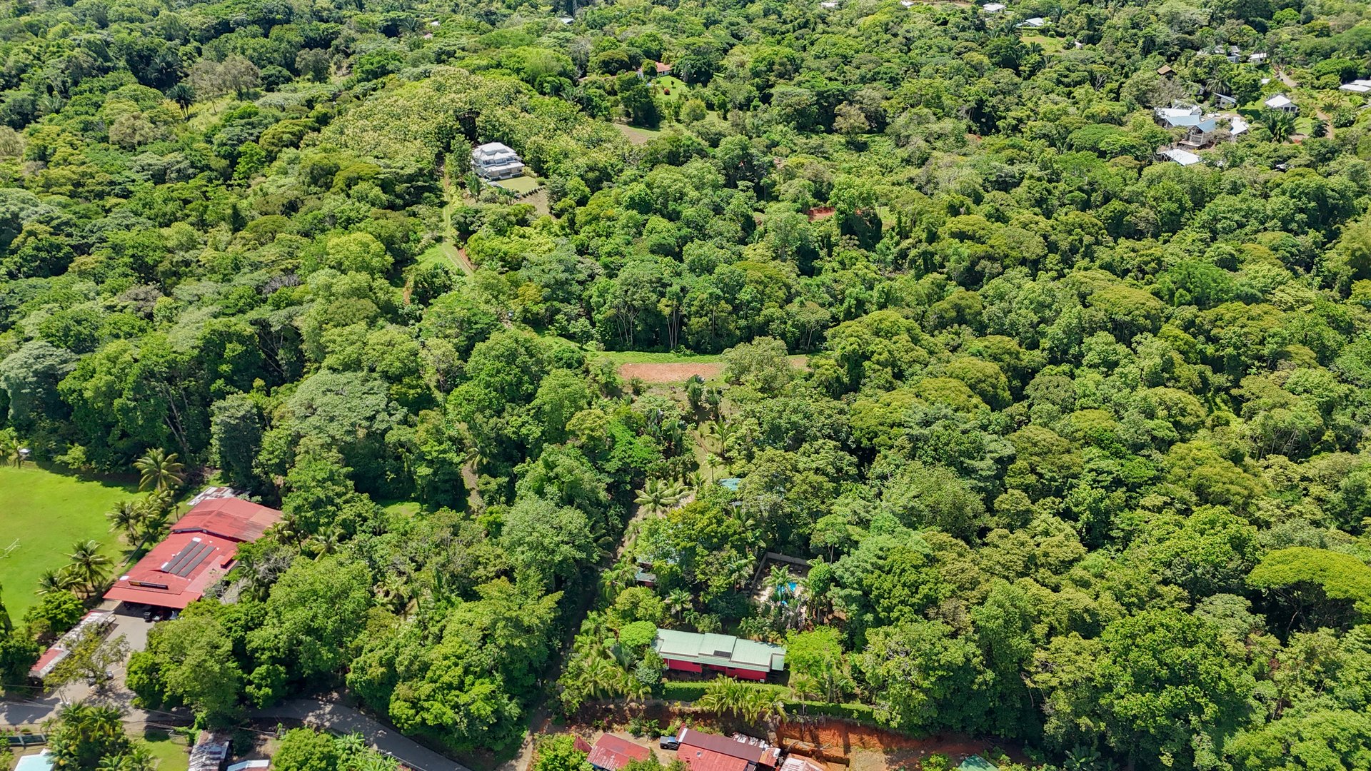 Ojochal Property for Sale – Cabins, Restaurant & 3-Bed Home