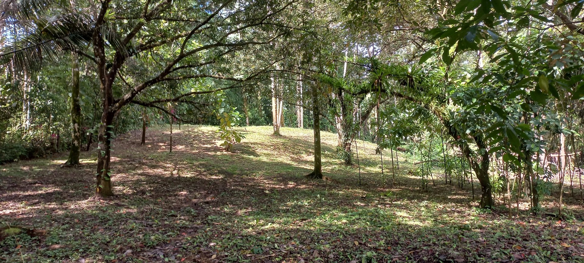 Luxury Rainforest Home + Guest House on 11 acres