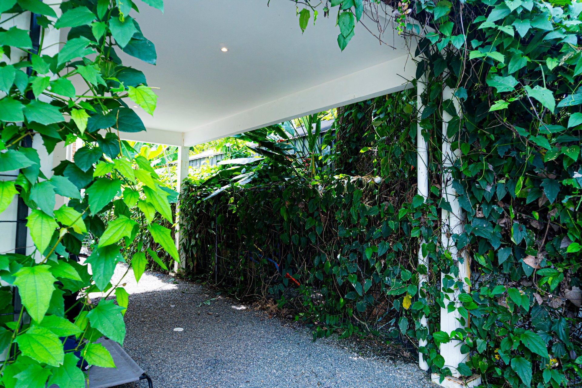 Modern Elegance Meets Tropical Lifestyle in Uvita