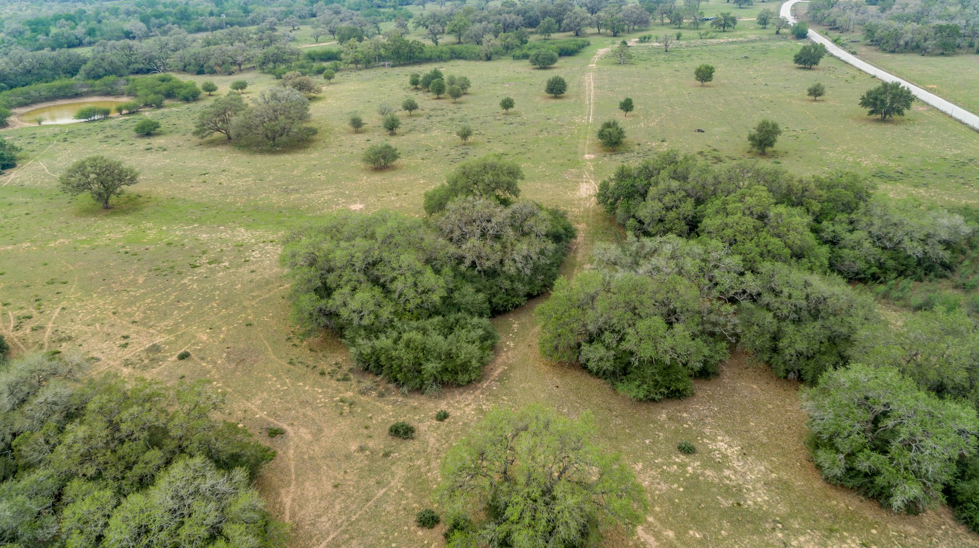 Five Mile Creek Reserve | 252.73± Acres-High Fence | DeWitt County, TX