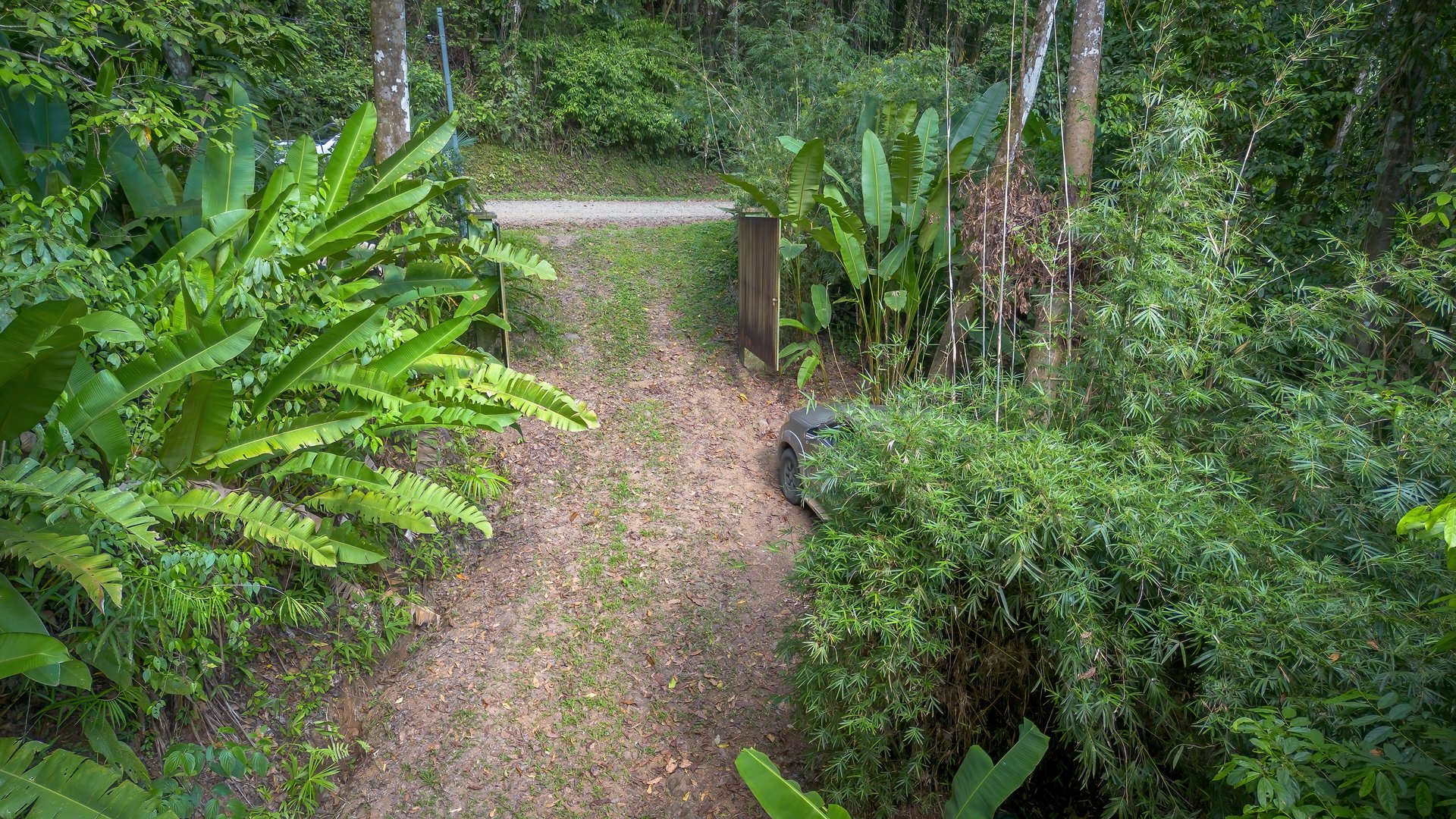 Private Jungle Oasis! 1 Bed, 1 Bath Hatillo Haven