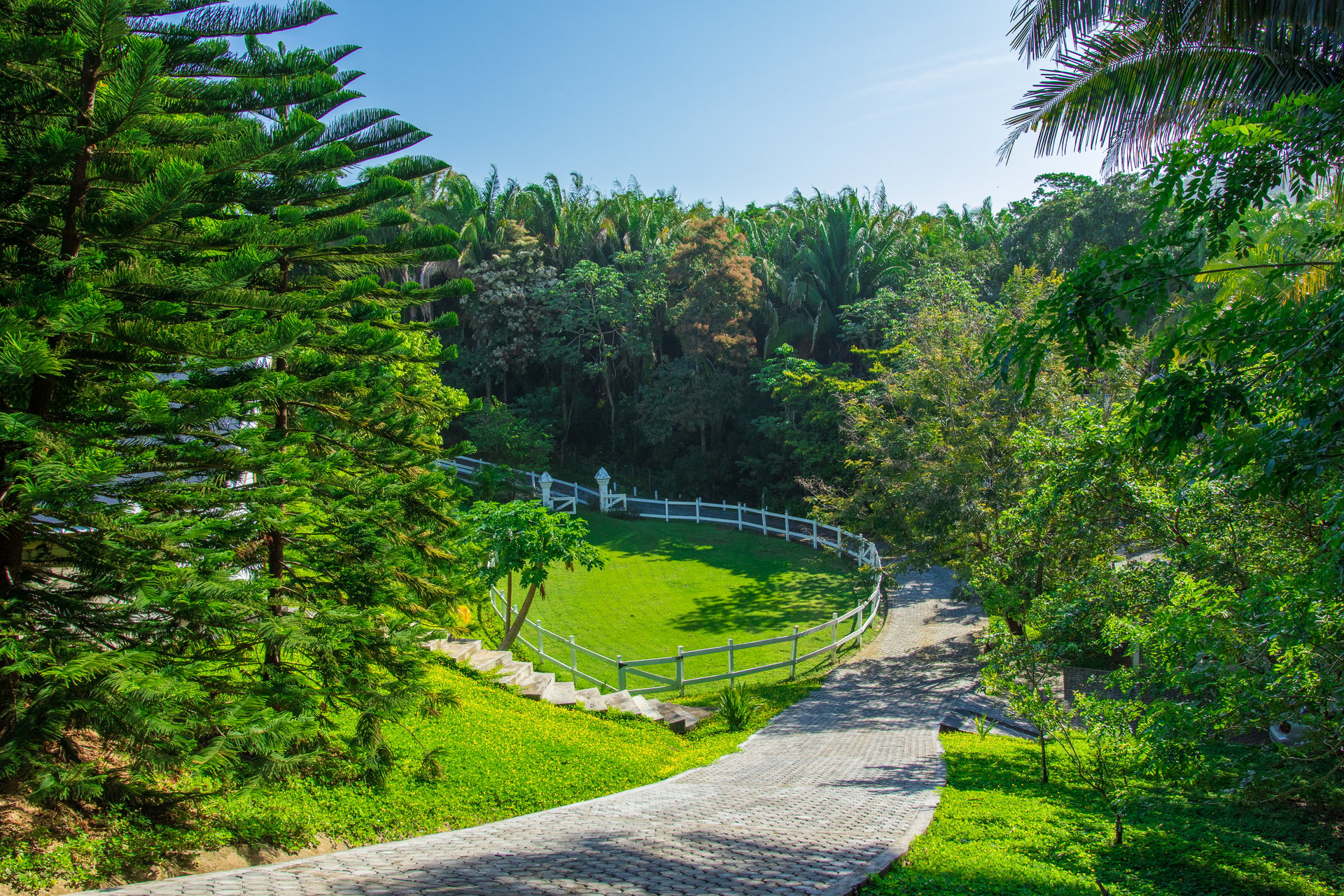 Little Farm By the Sea - Roatan Island