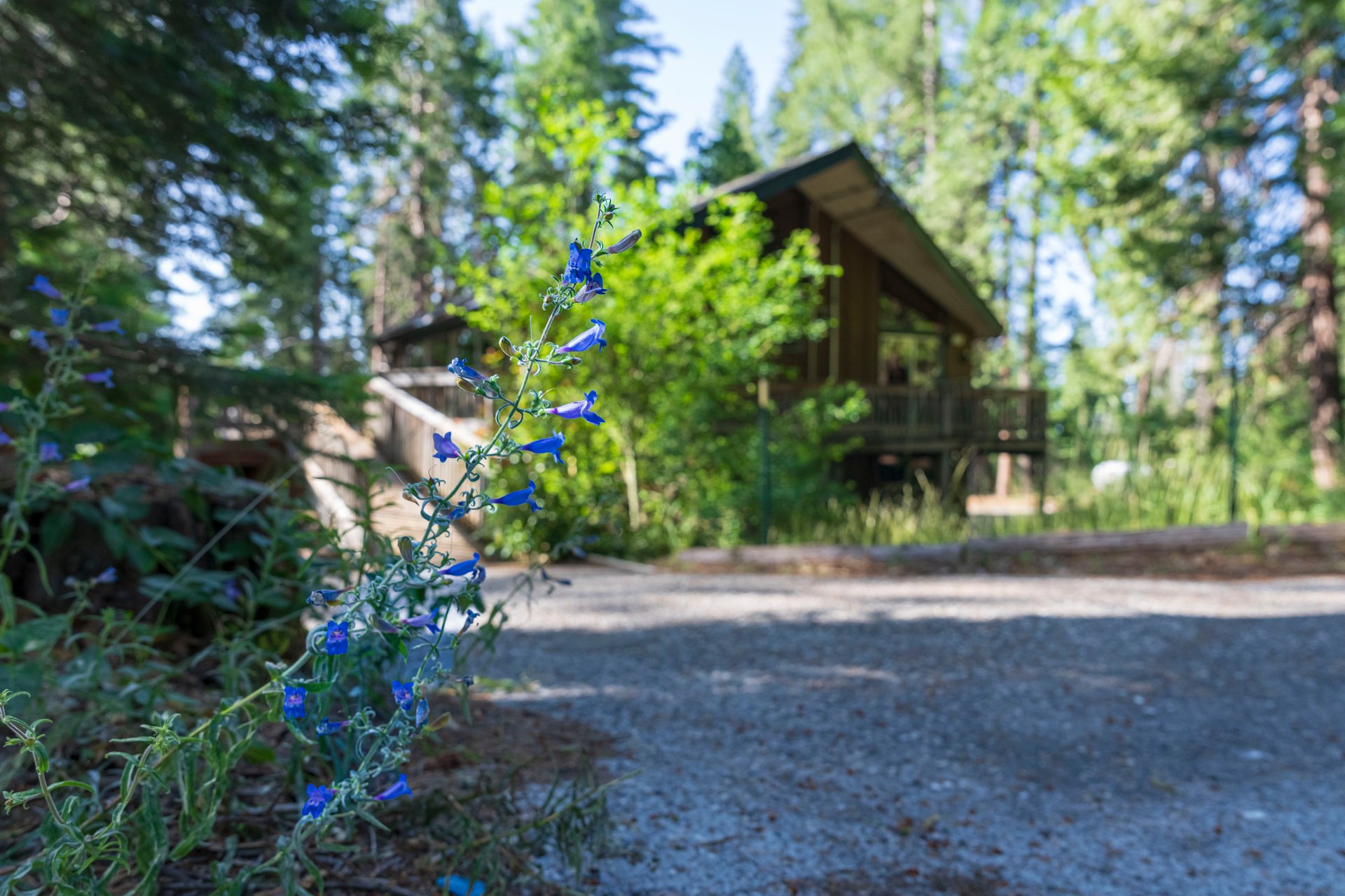 24395 State Highway 20