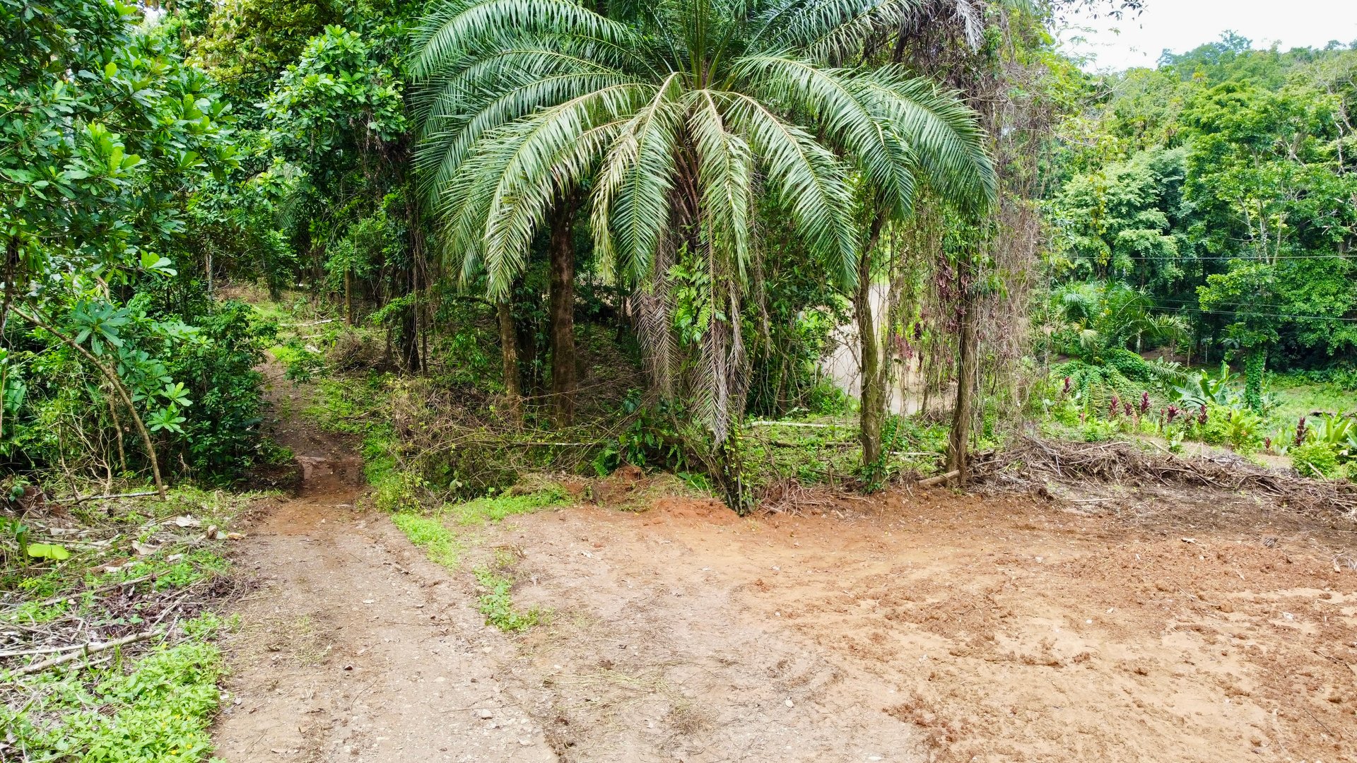 Ready-to-Build Land in San Antonio de Damas: 2,6-Acre with Terraces & Road Frontage