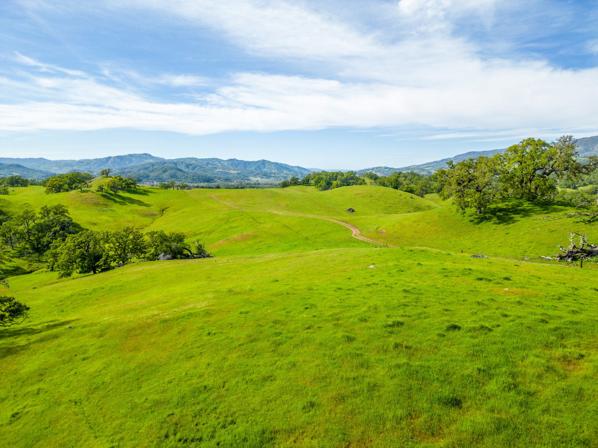 The Hopland Hills Ranch
