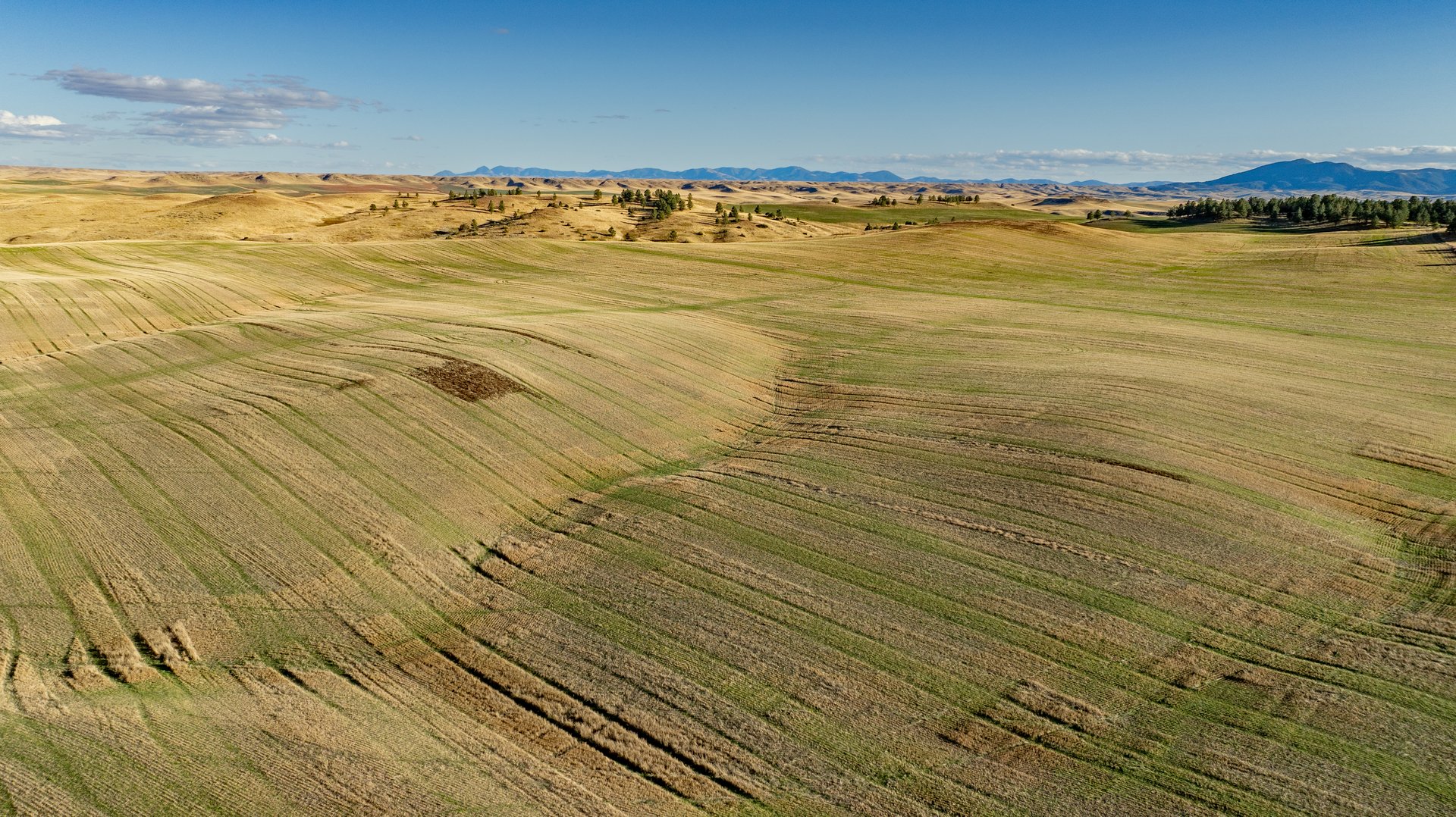 Salt Creek Ranch