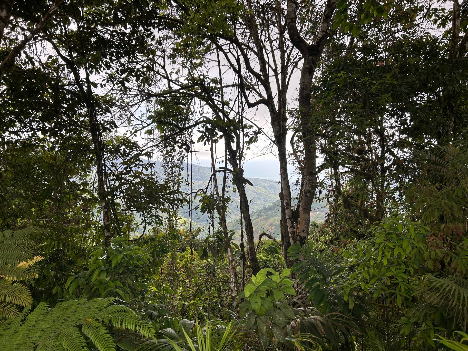 Motivated Seller | Ocean View Lot in San Luis de Morete, Uvita