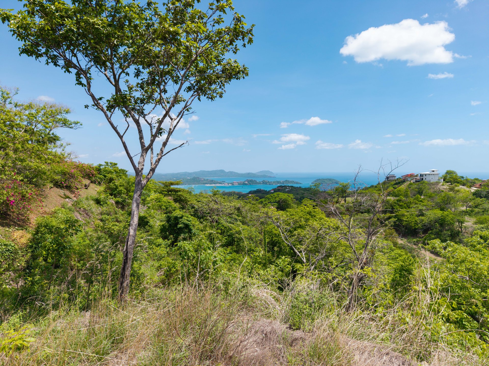 Miramar Ocean View Lot | Unmatched Views from this Spectacular Piece of Land in Pacific Heights
