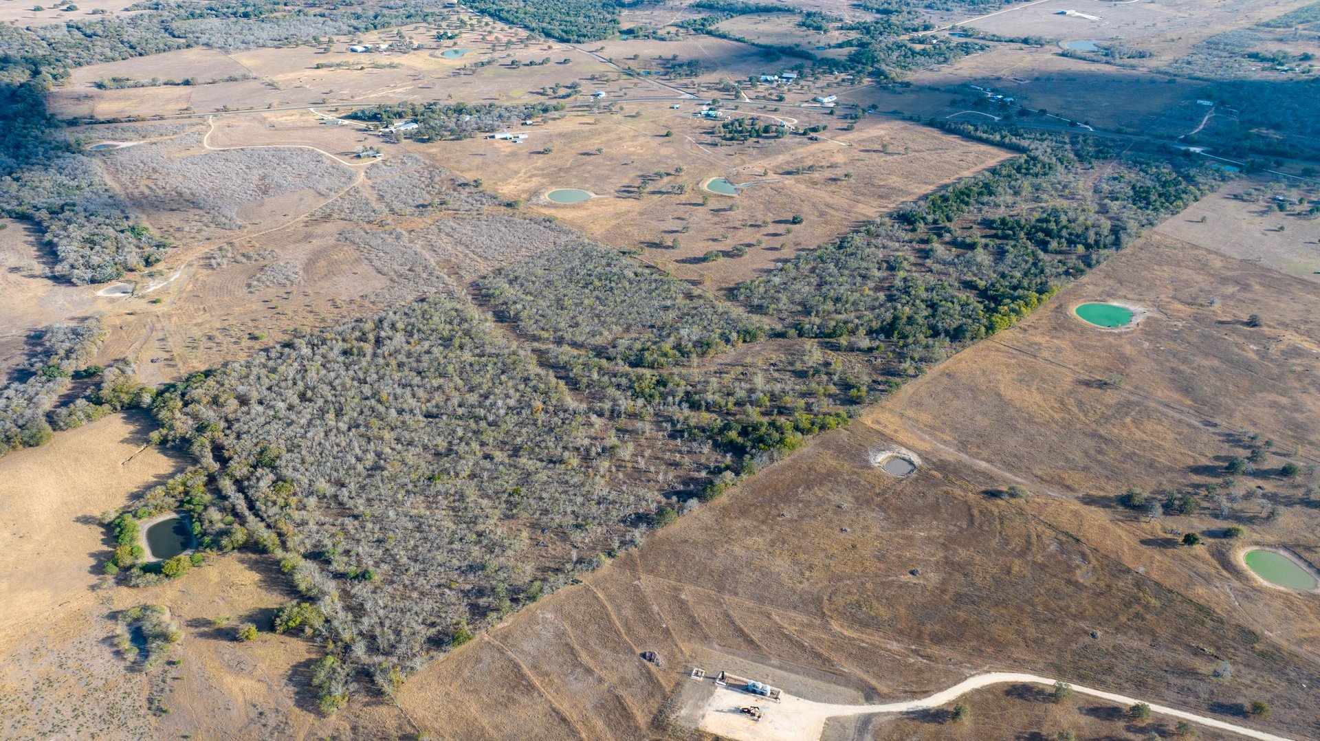 Gonzales County | 104+/- Acres