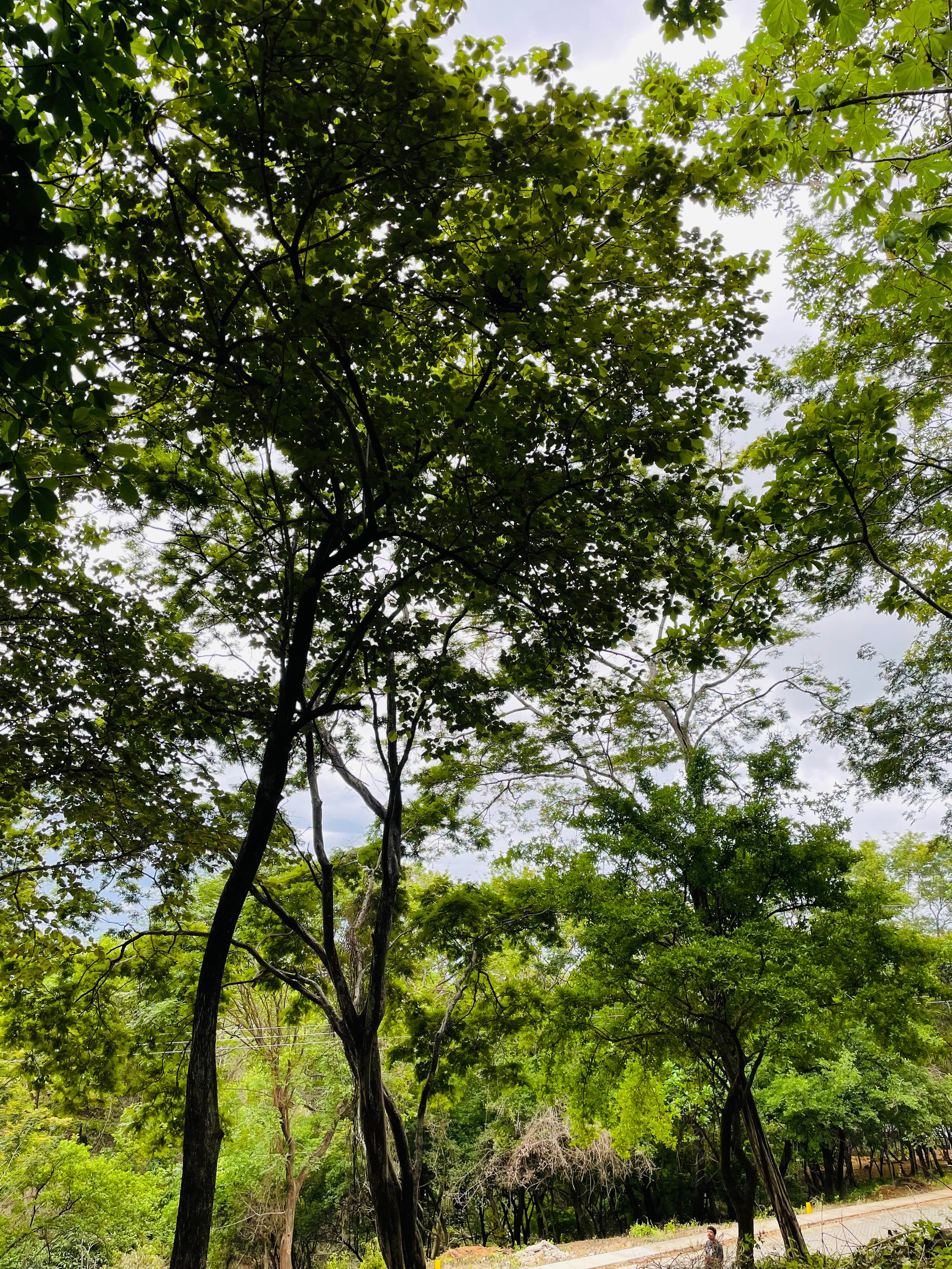 Valle Escondido Development | New Gated Community Near Tamarindo Beach