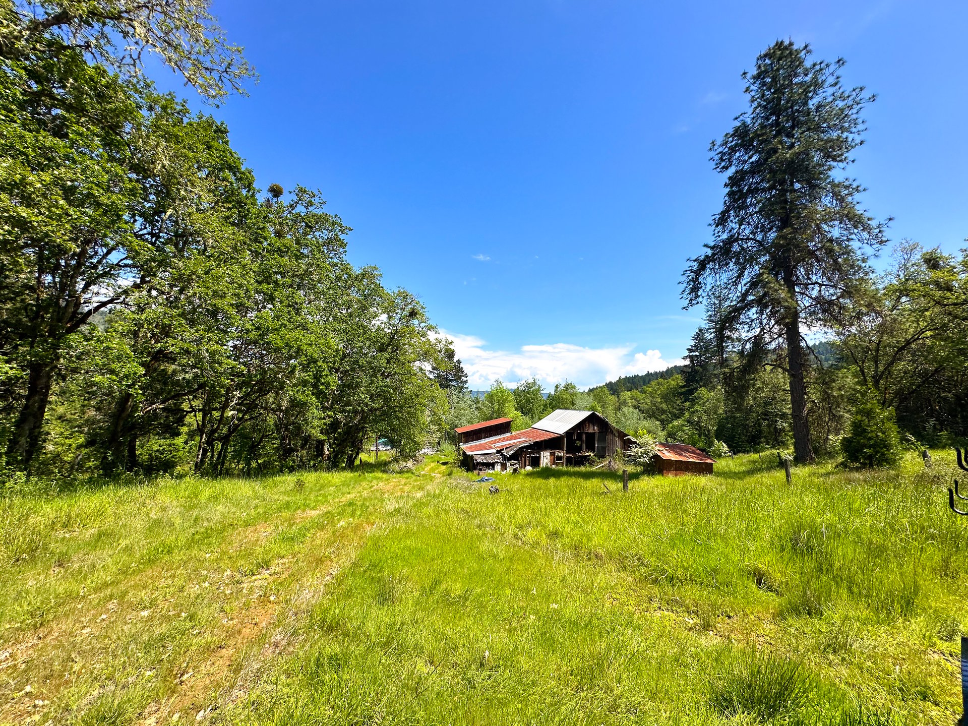 WAGON ROAD HOMESTEAD