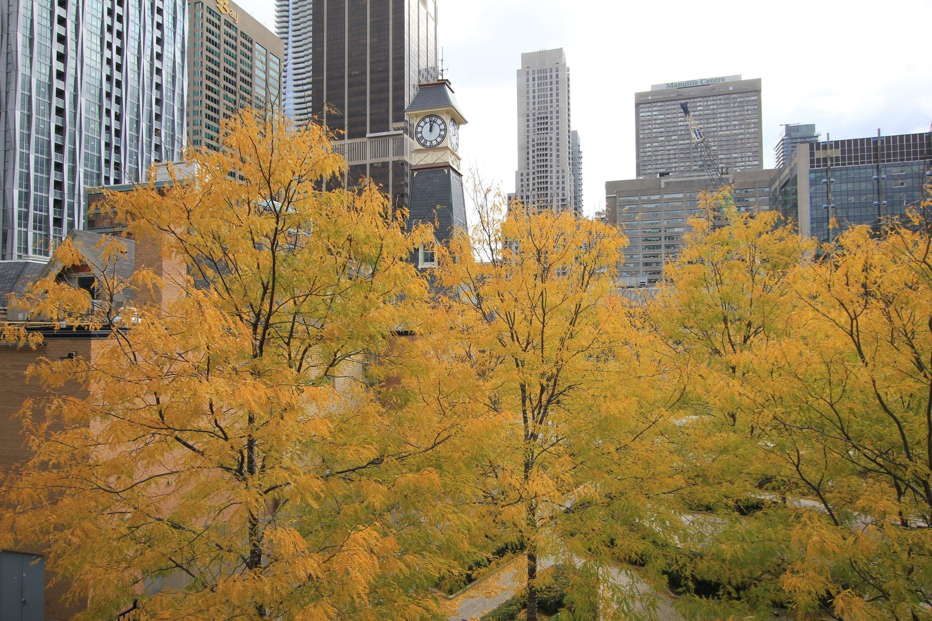 Four Seasons Residence