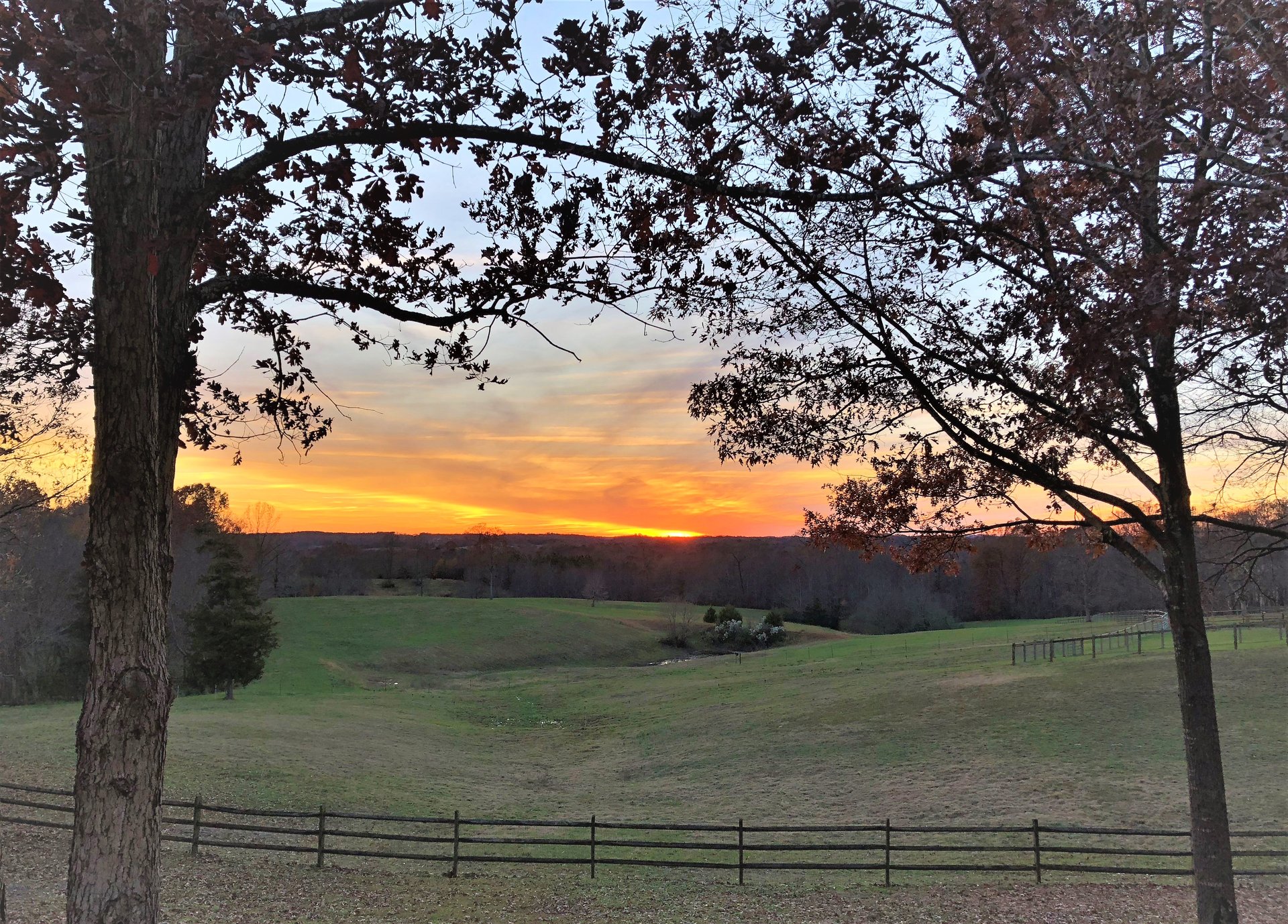 29-Acre Equestrian Estate with 14-Stall Barn