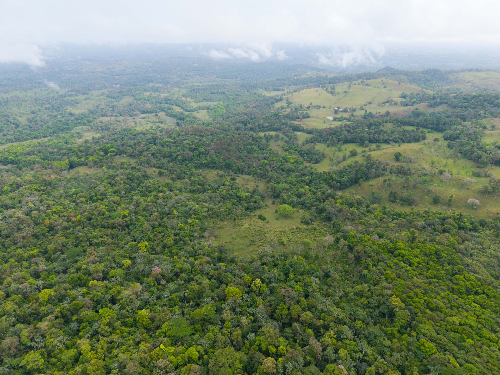 Finca Las Zompopas-Río Celeste | 113-Acre Biodiverse Property in Bijagua, Ideal for Eco-Tourism, Private Retreats, or Sustainable Development