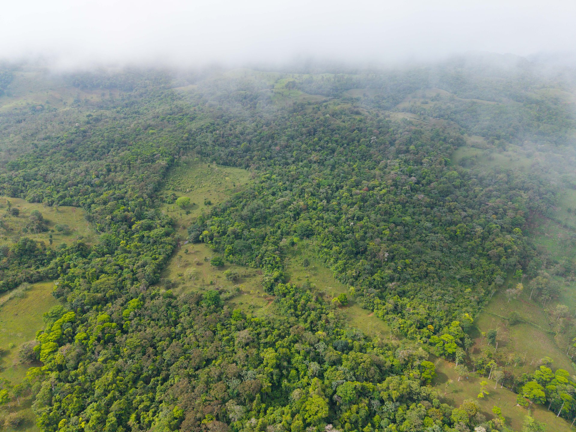 Finca Las Zompopas-Río Celeste | 113-Acre Biodiverse Property in Bijagua, Ideal for Eco-Tourism, Private Retreats, or Sustainable Development