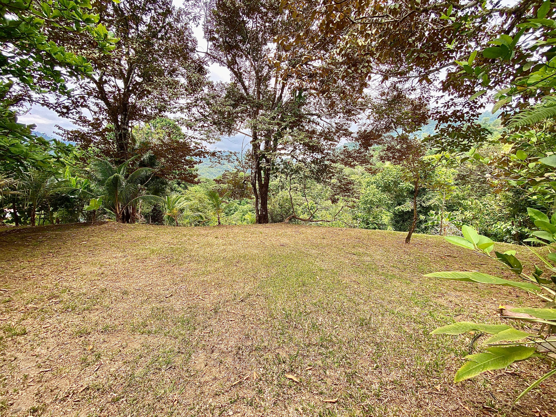 Charming 2-Bedroom Villa on 5 Acres with Creek Access and Income Potential