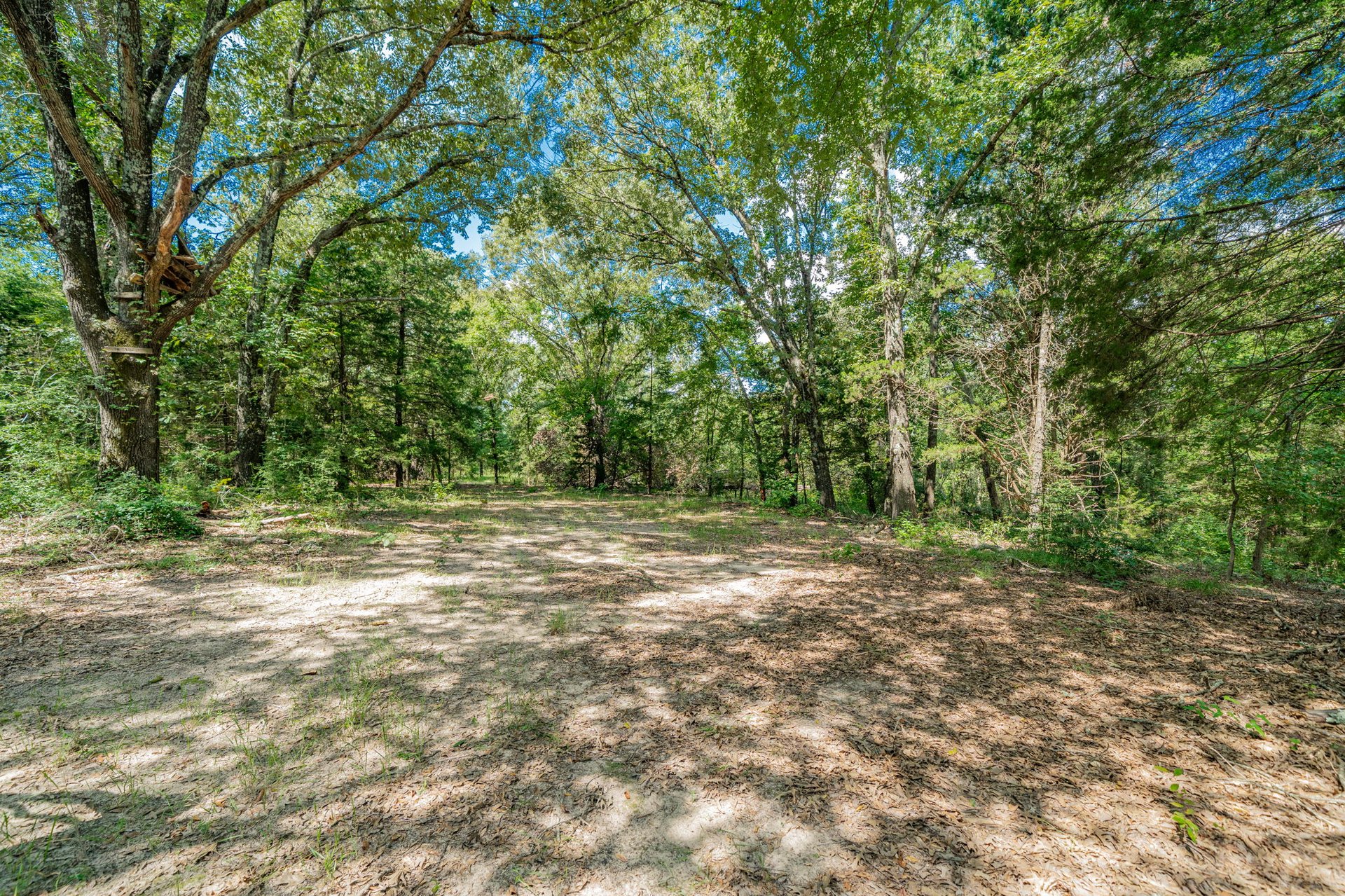 A Ben Wheeler Country Home & Land Dream!