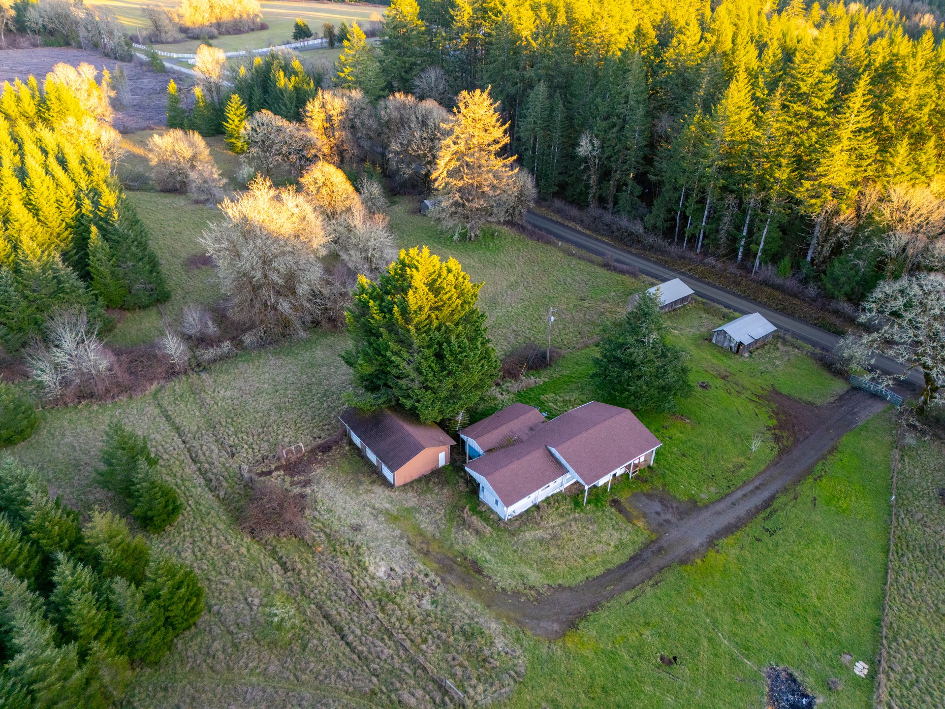 HARRIS FARM & FOREST