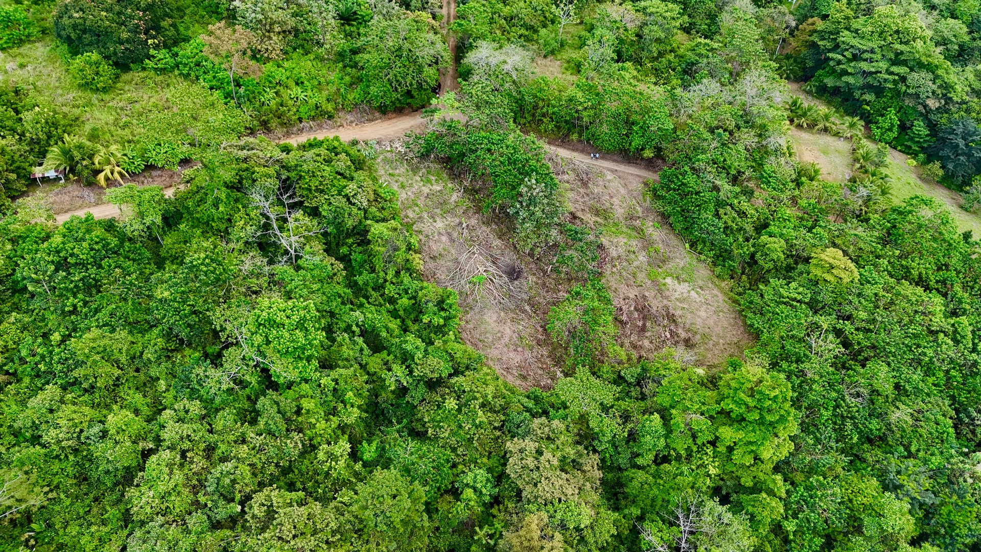Price Reduced! Ocean View Lots in San Buenas – Just $70K Each