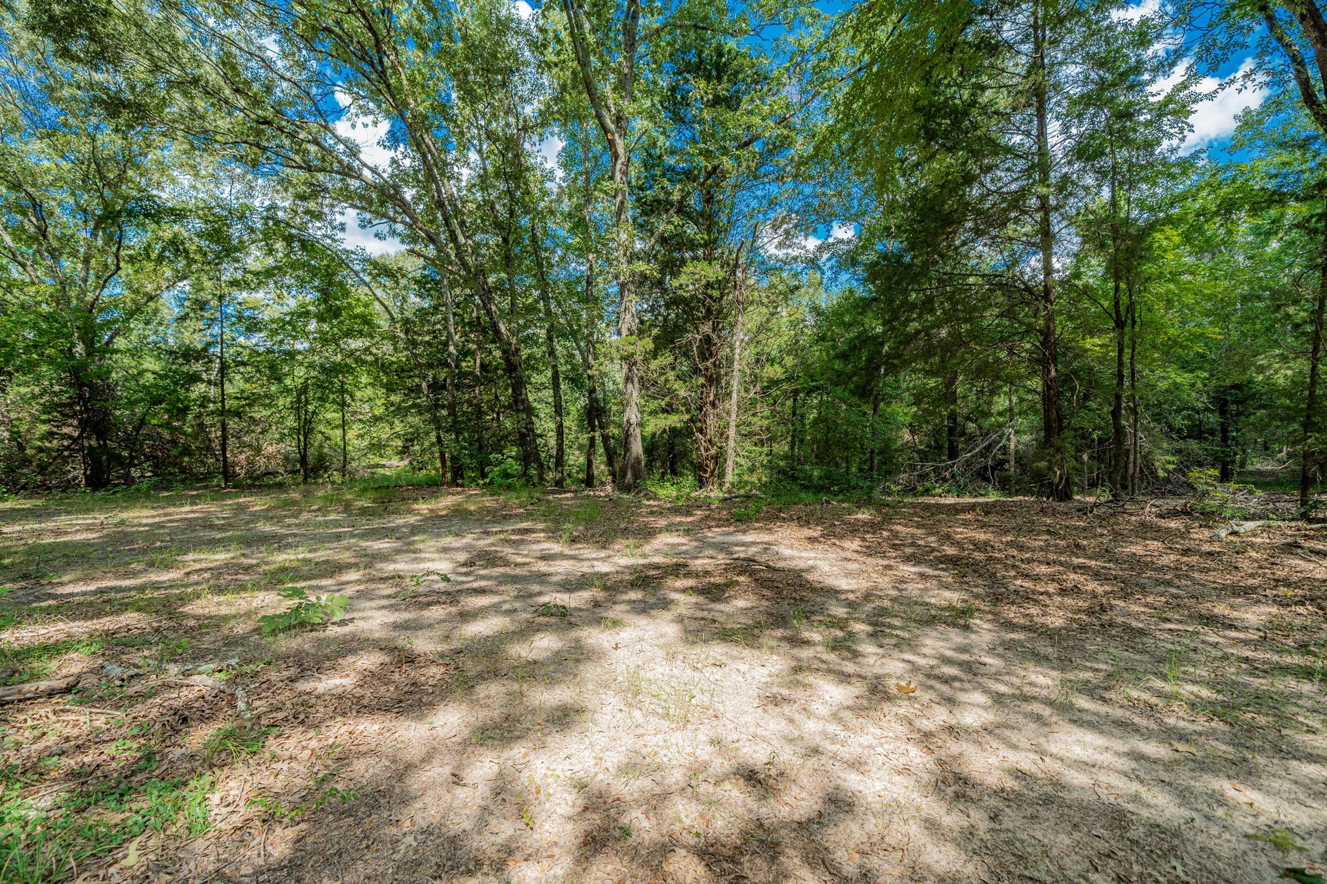 A Ben Wheeler Country Home & Land Dream!